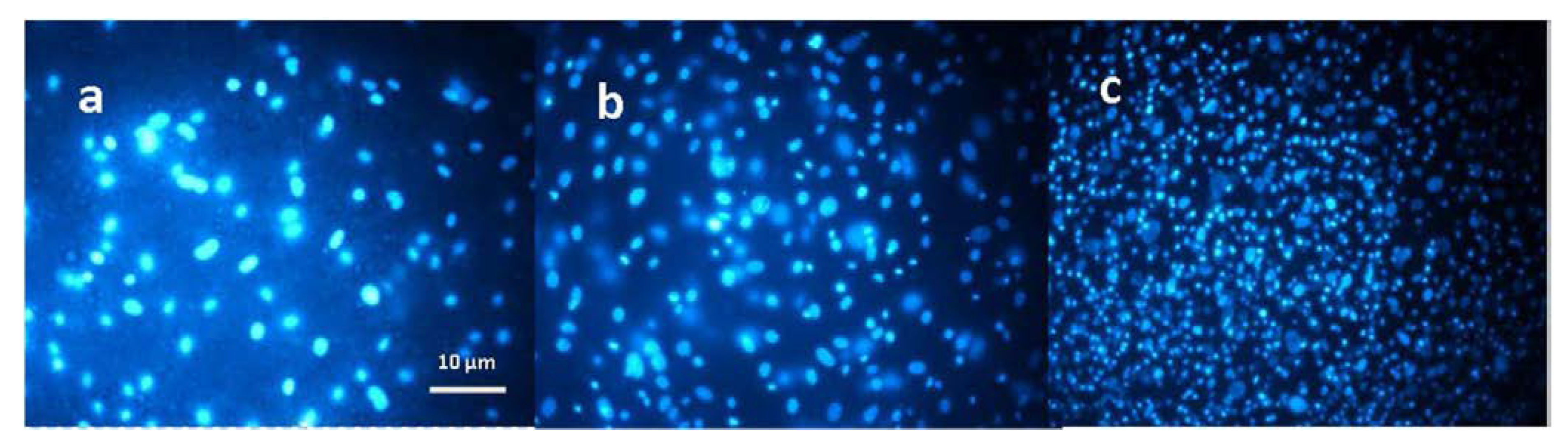 Materials 15 05306 g007