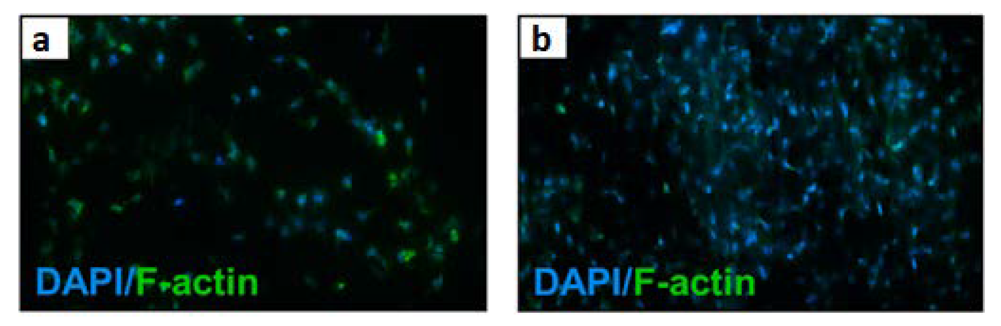 Materials 15 05306 g008