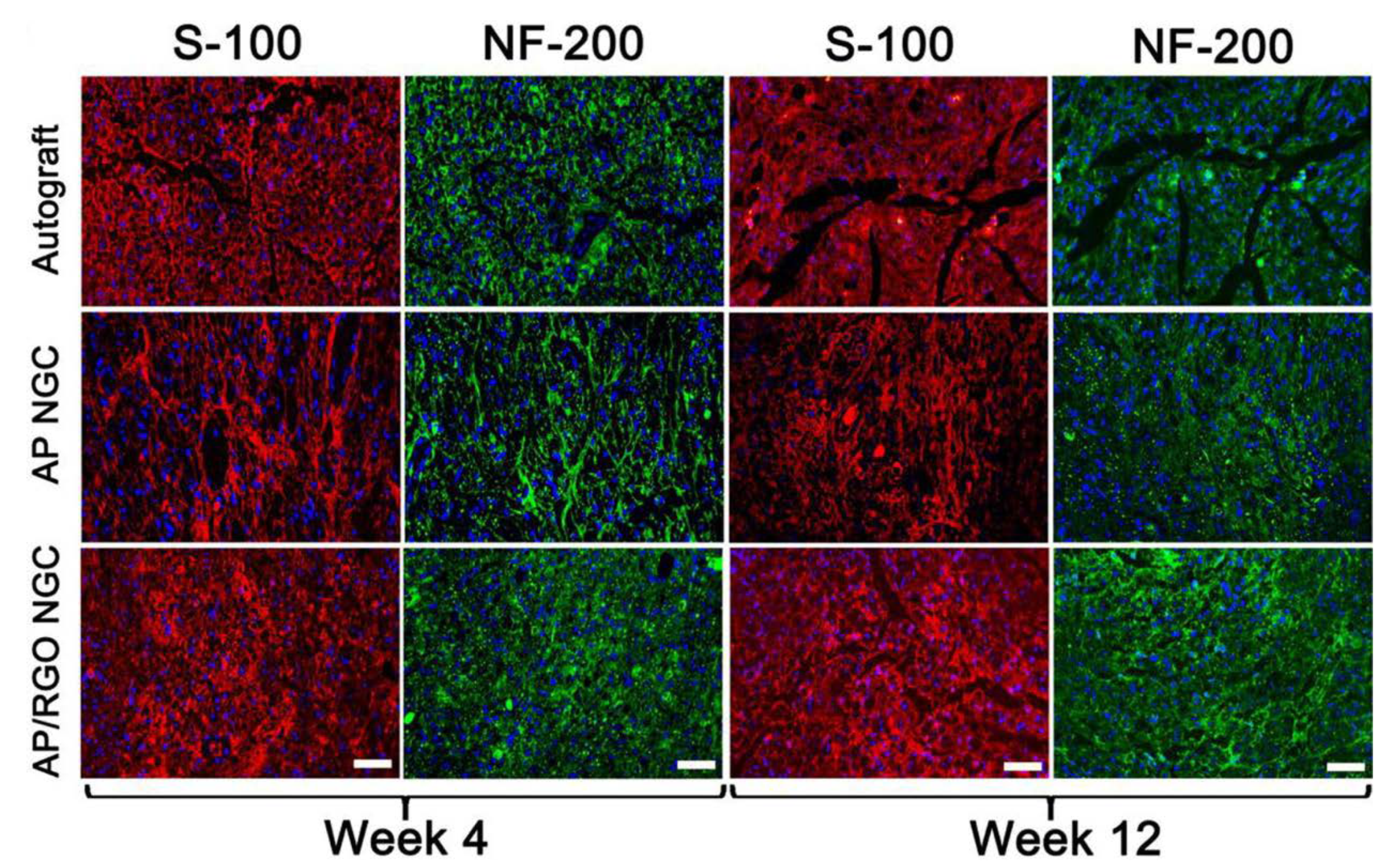 Materials 15 05306 g011