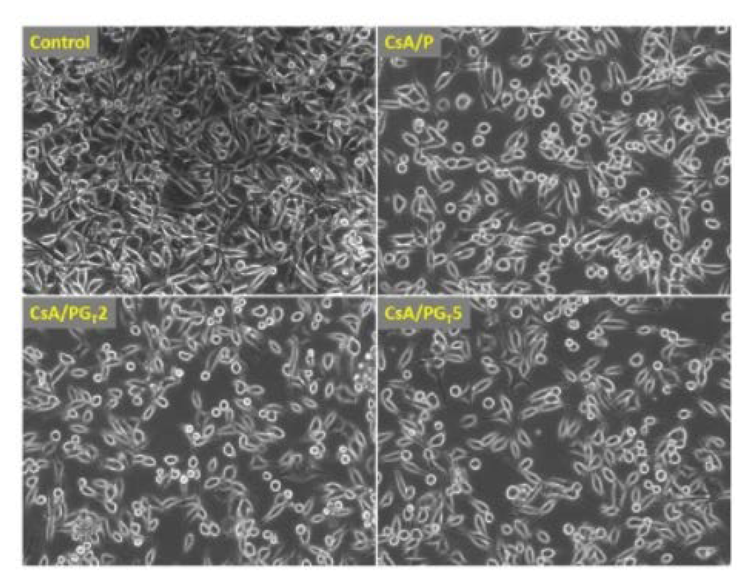 Materials 15 05306 g012