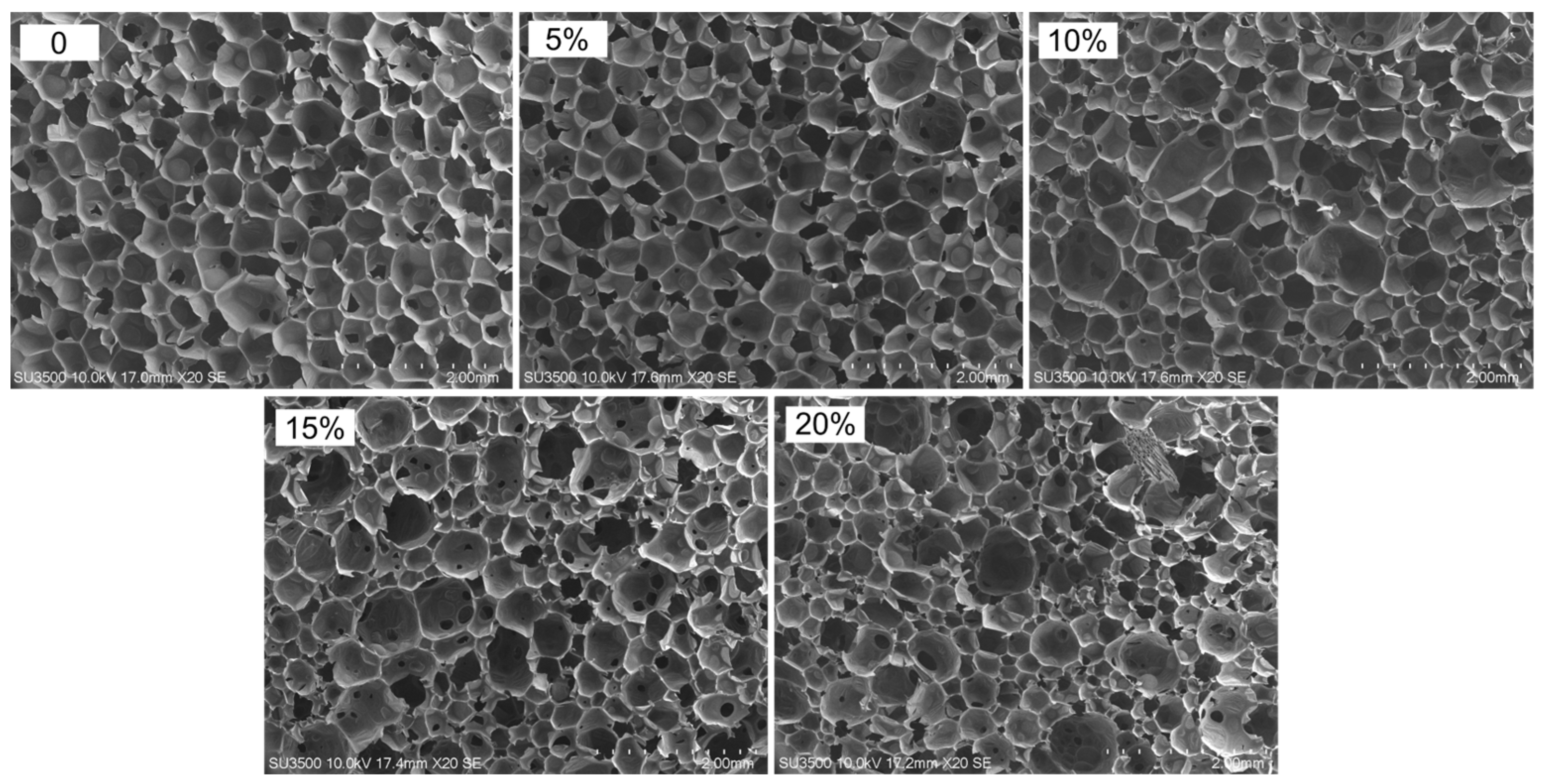 Materials 15 05361 g002