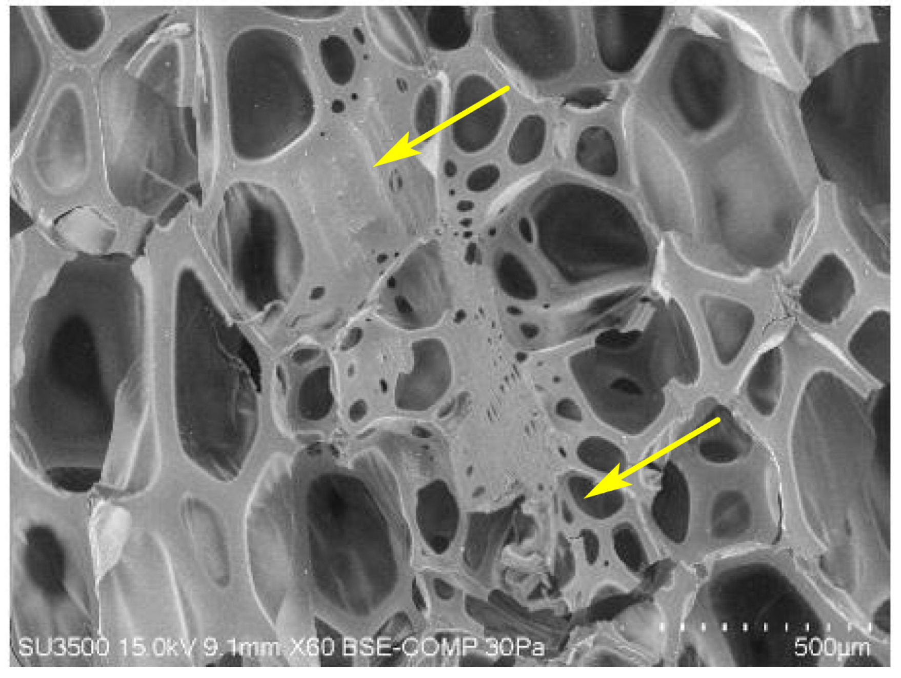 Materials 15 05361 g004