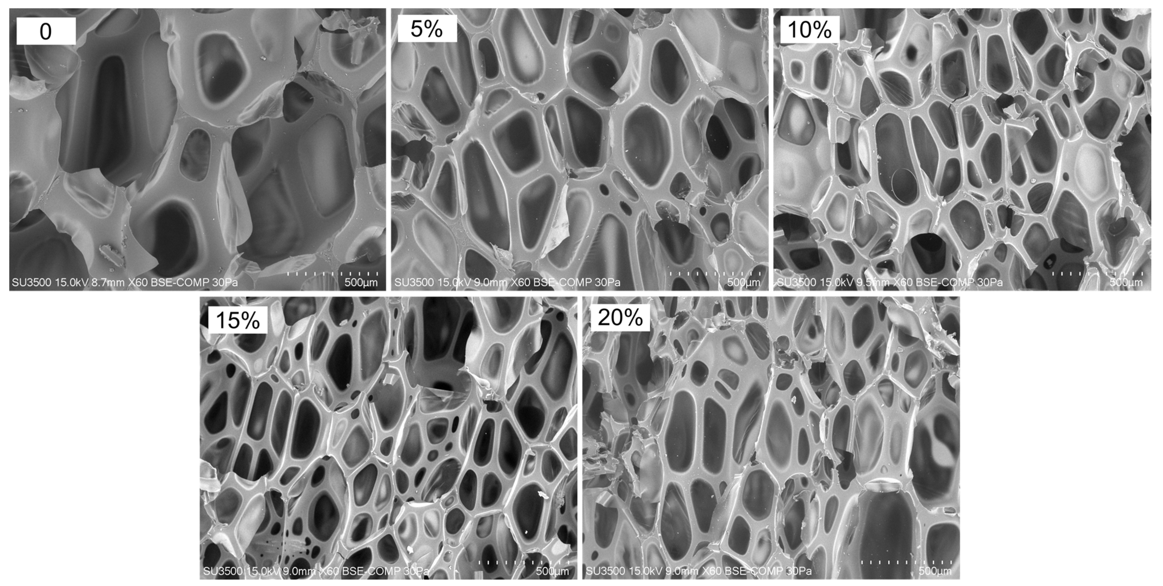 Materials 15 05361 g005