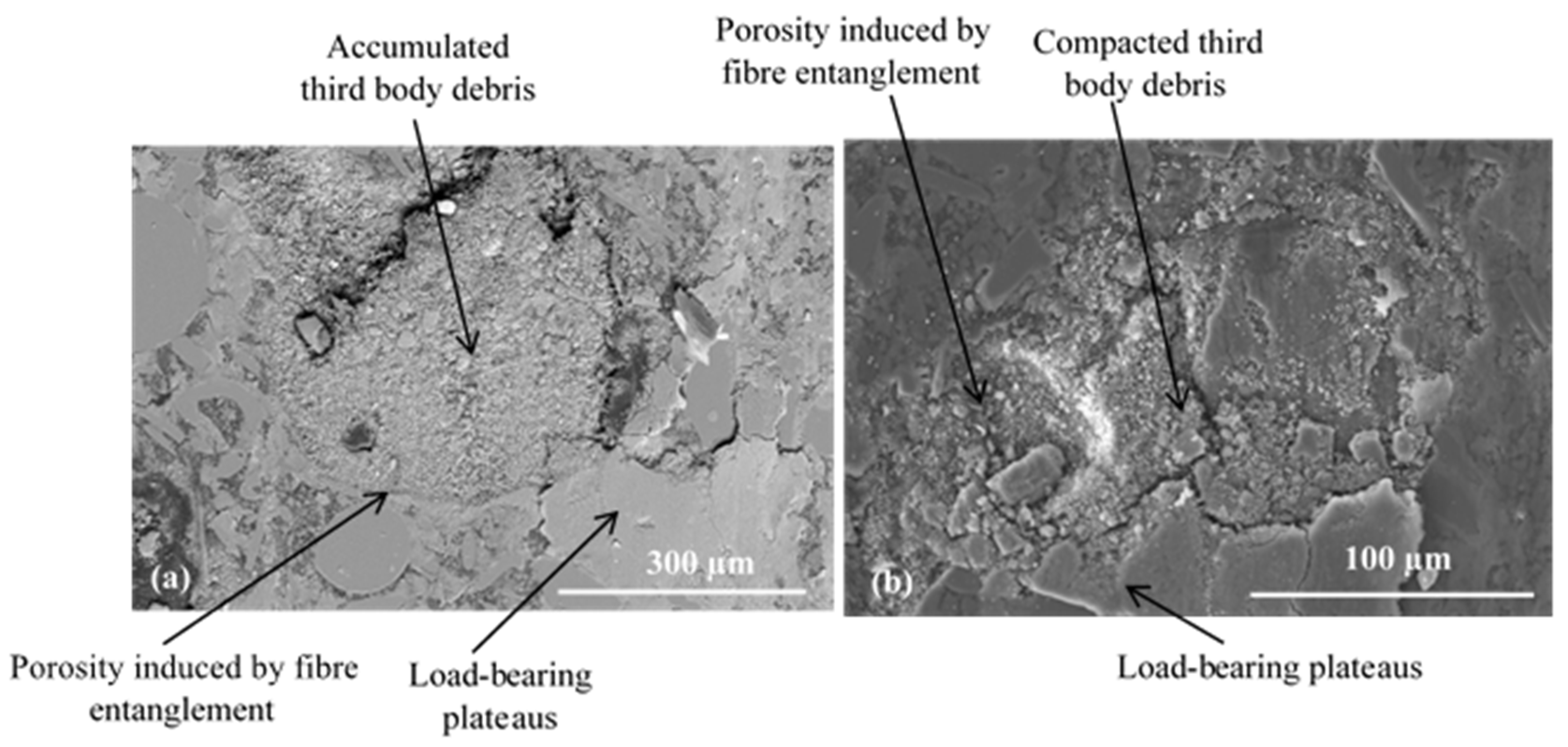 Materials 15 05381 g010