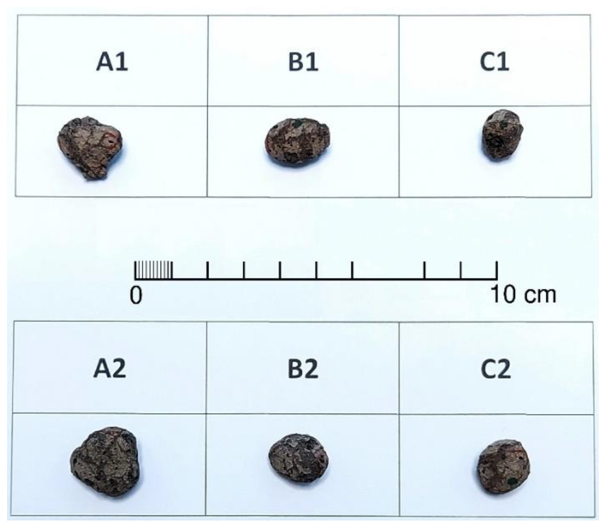 Materials 15 05388 g001