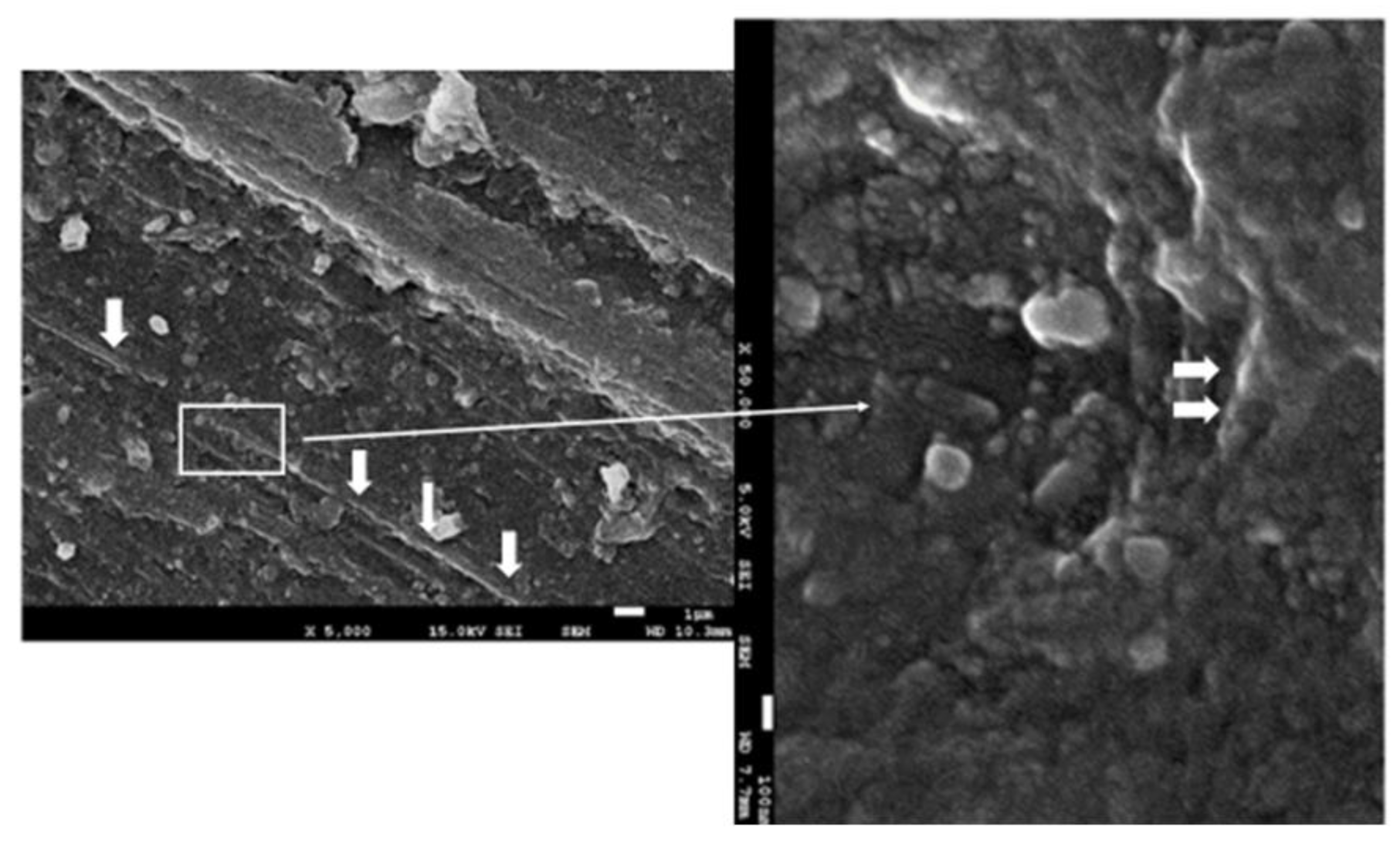 Materials 15 05391 g008