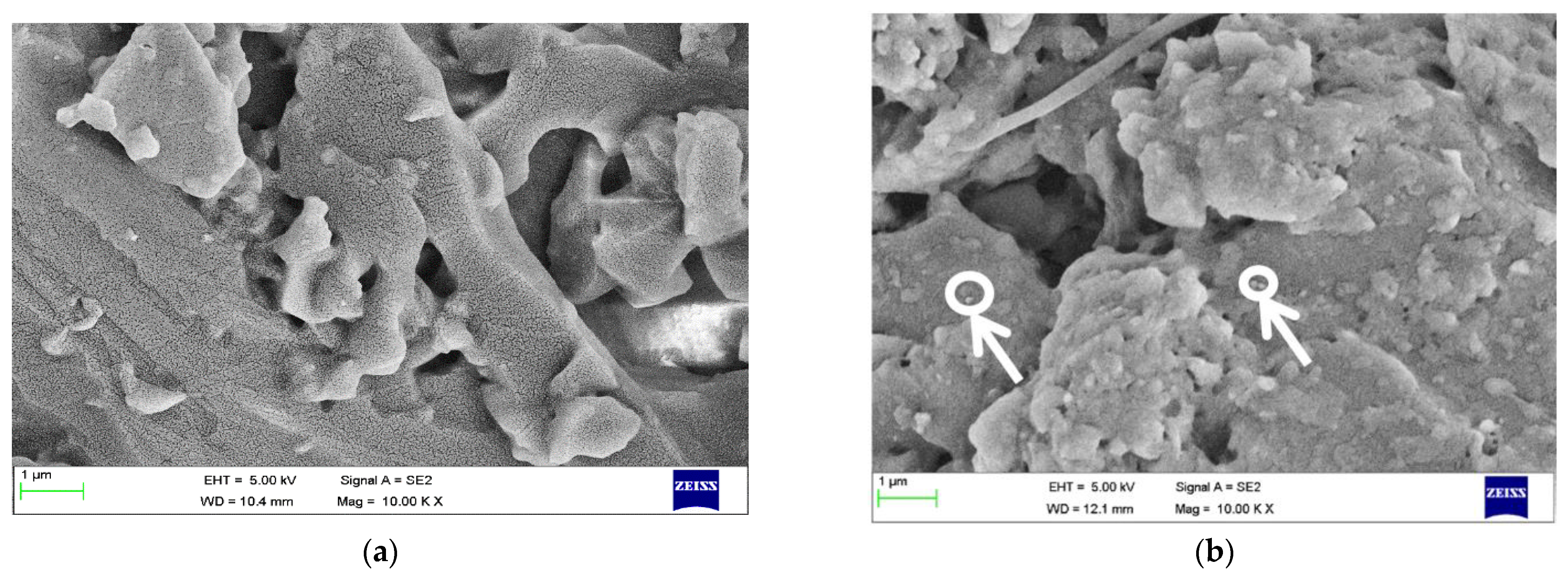 Materials 15 05397 g008