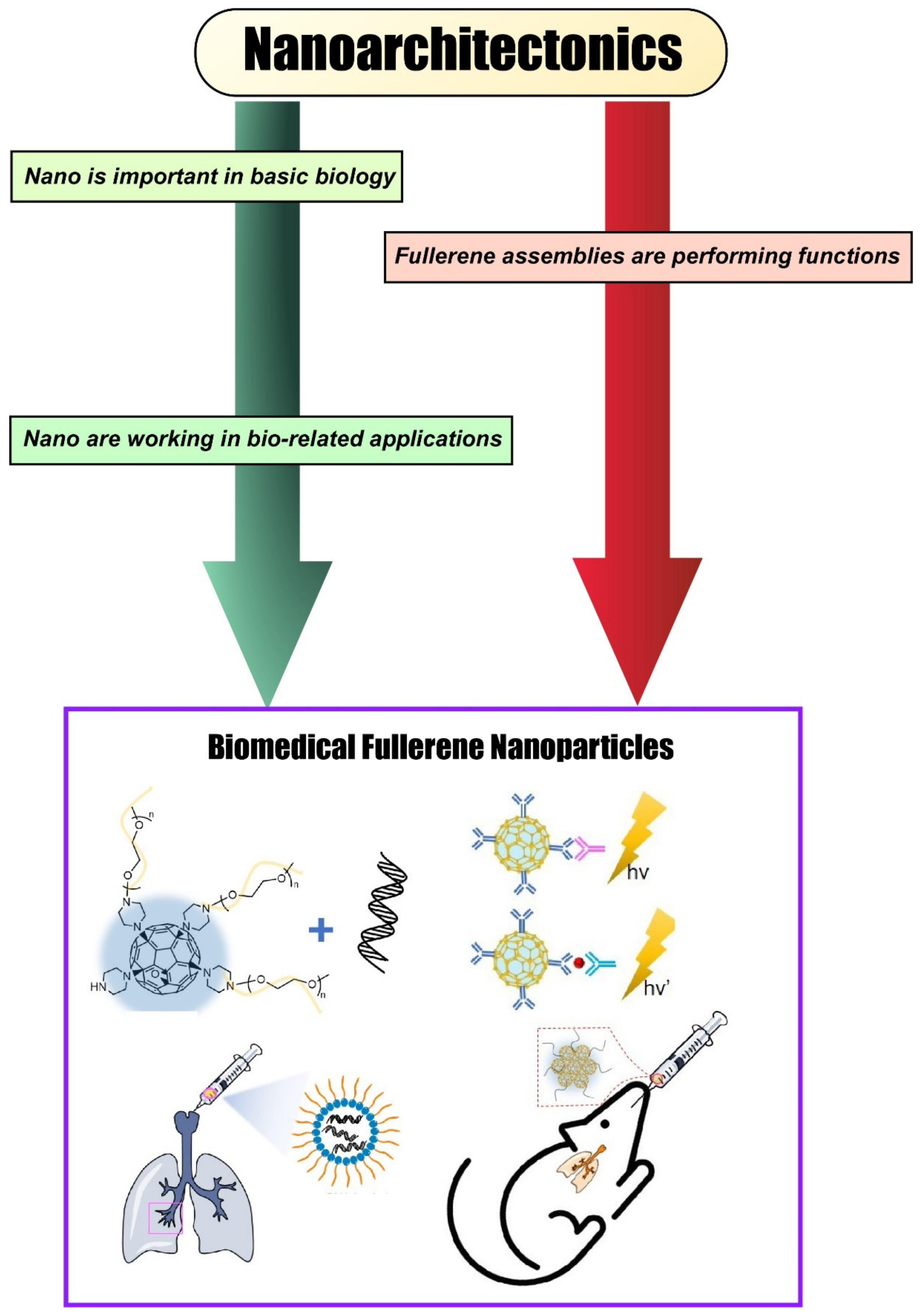 Materials 15 05404 g002 Materials 15 05404 g002