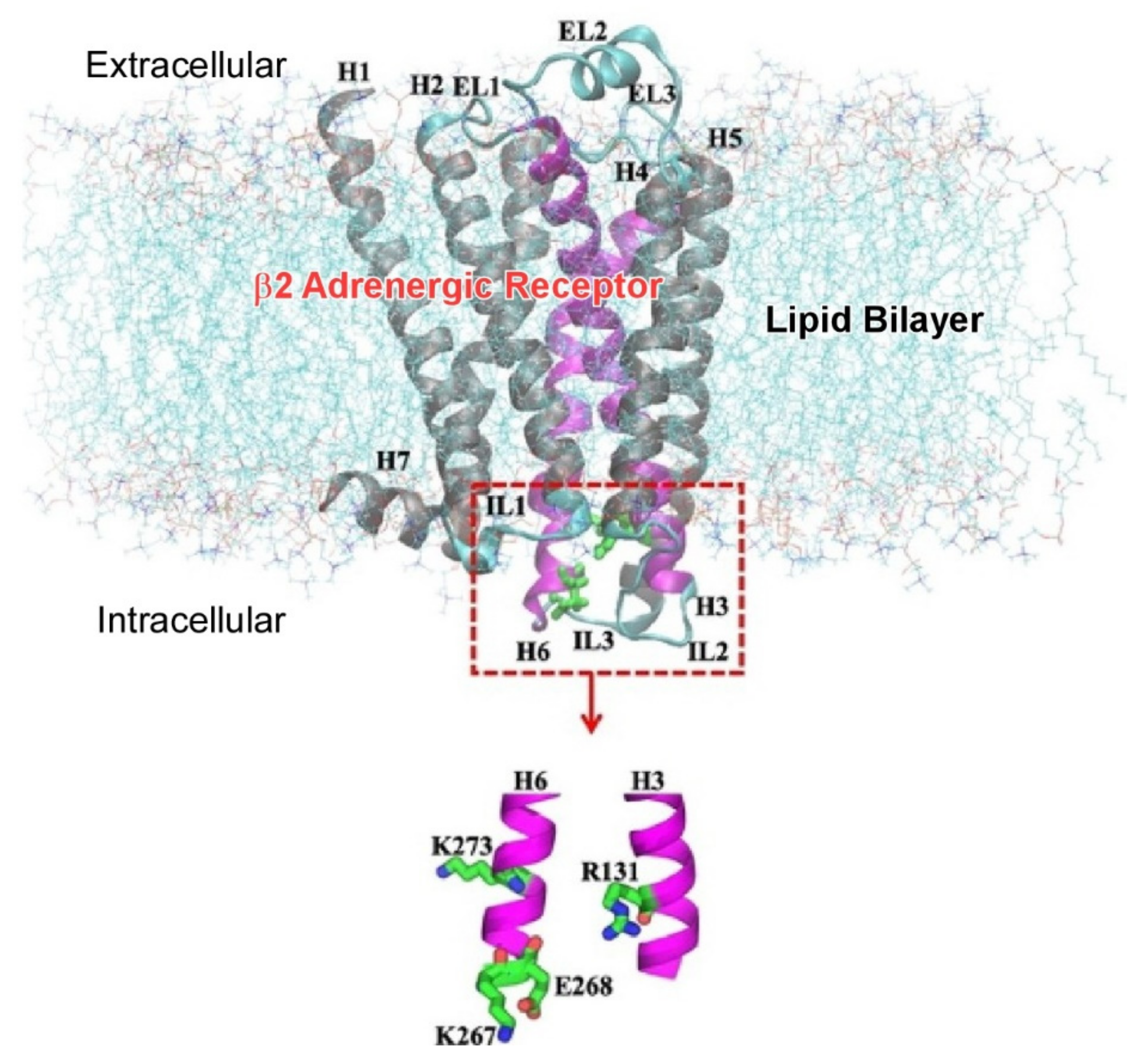 Materials 15 05404 g003 Materials 15 05404 g003