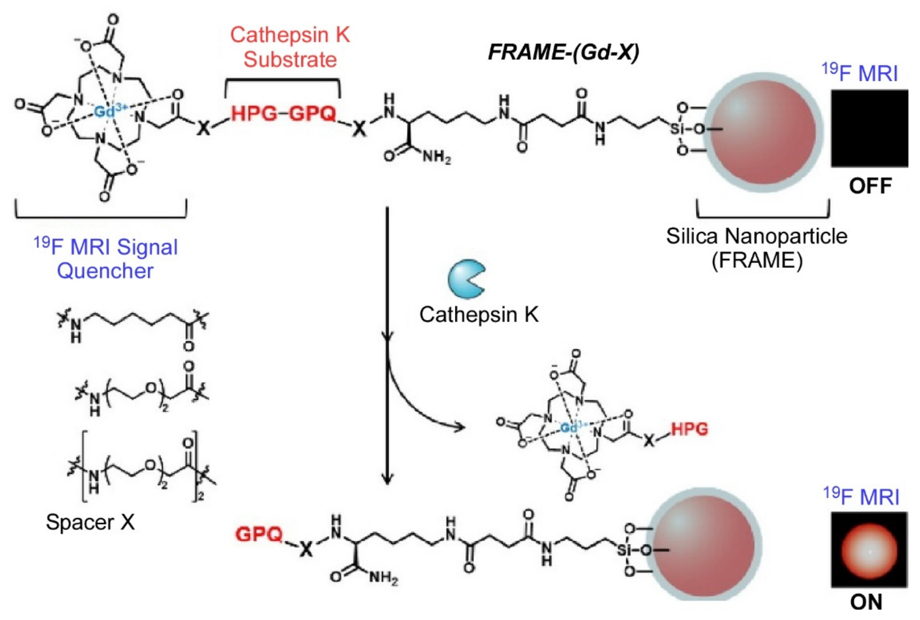 Materials 15 05404 g005 Materials 15 05404 g005