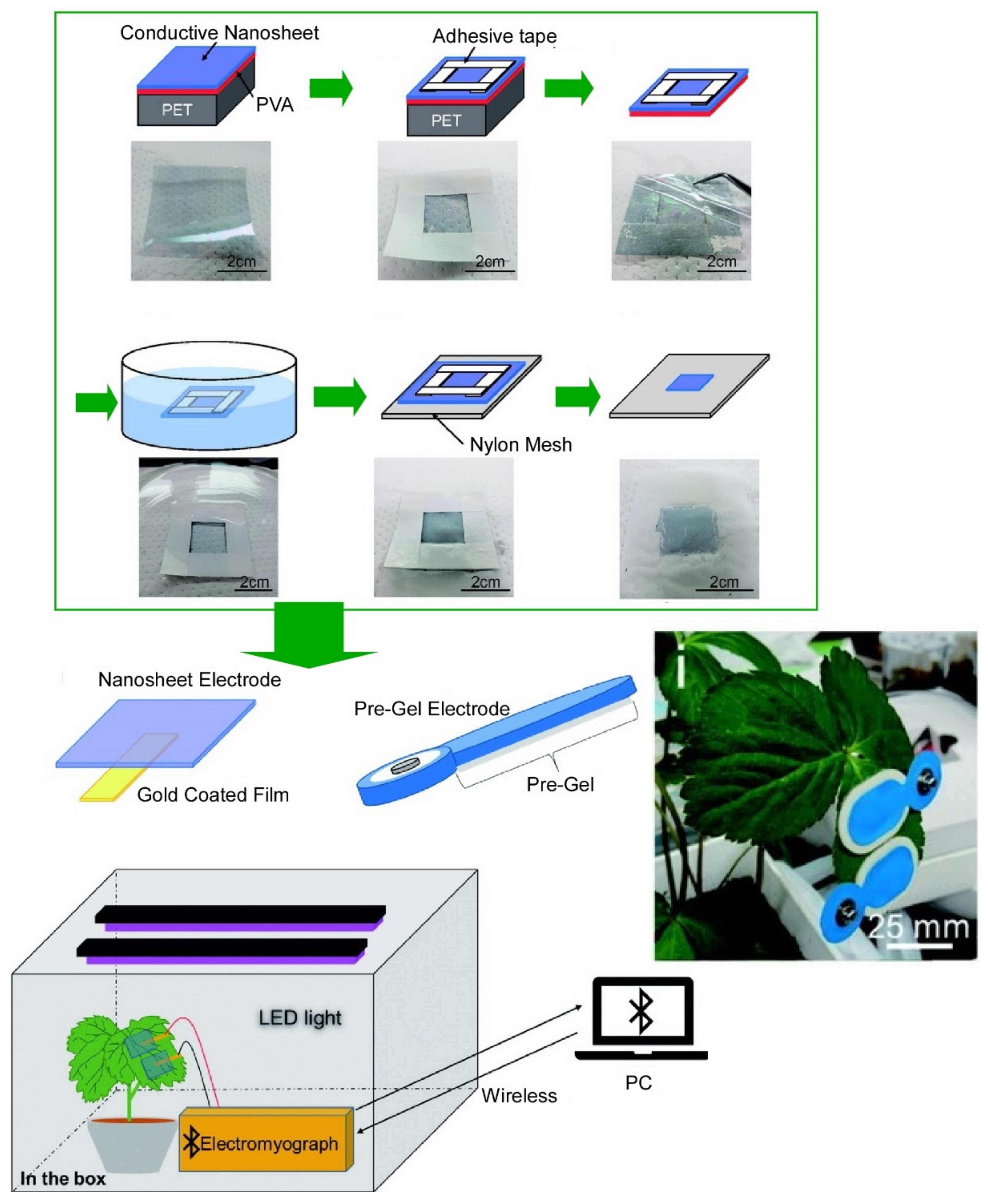 Materials 15 05404 g006 Materials 15 05404 g006