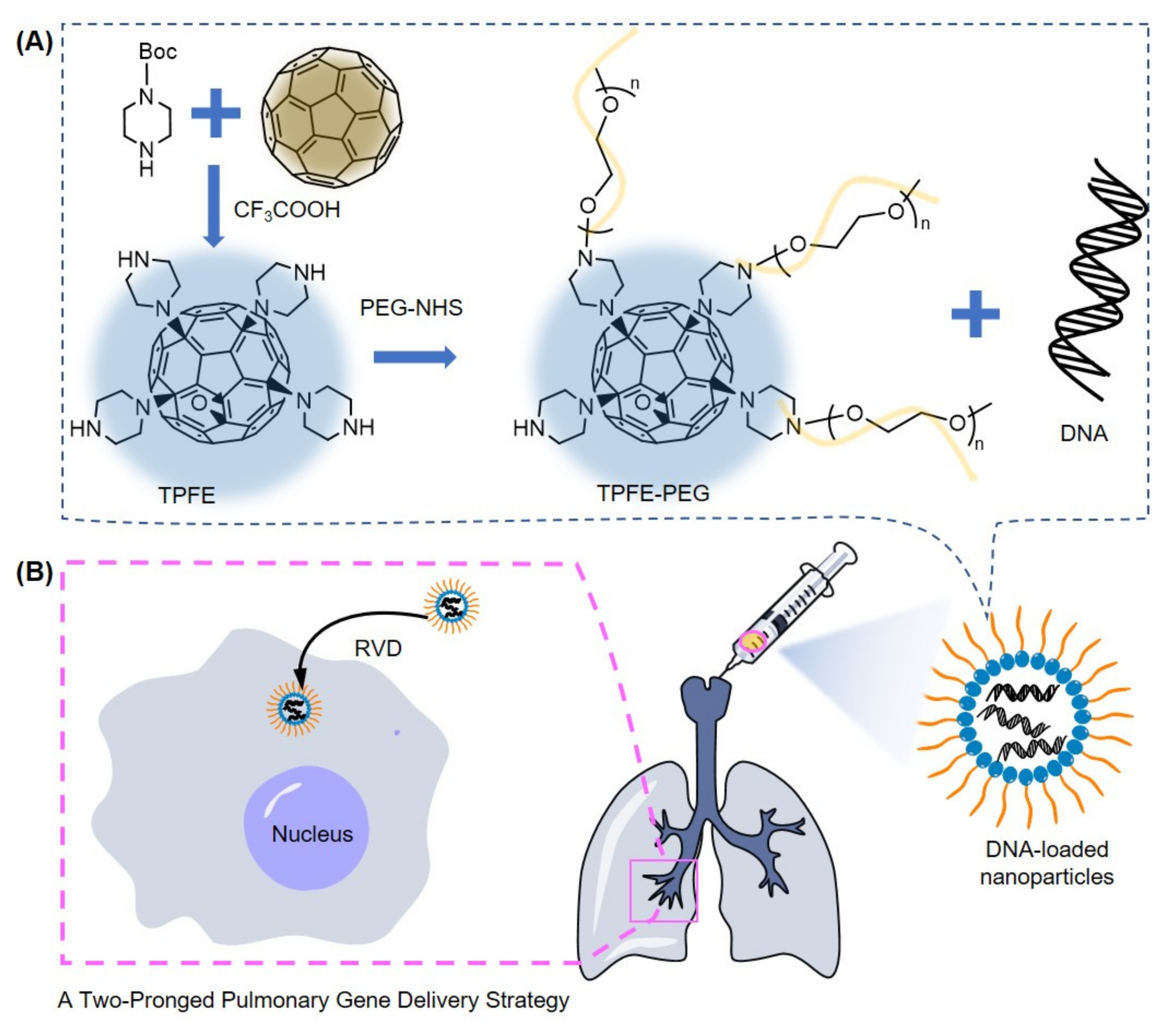 Materials 15 05404 g017 Materials 15 05404 g017