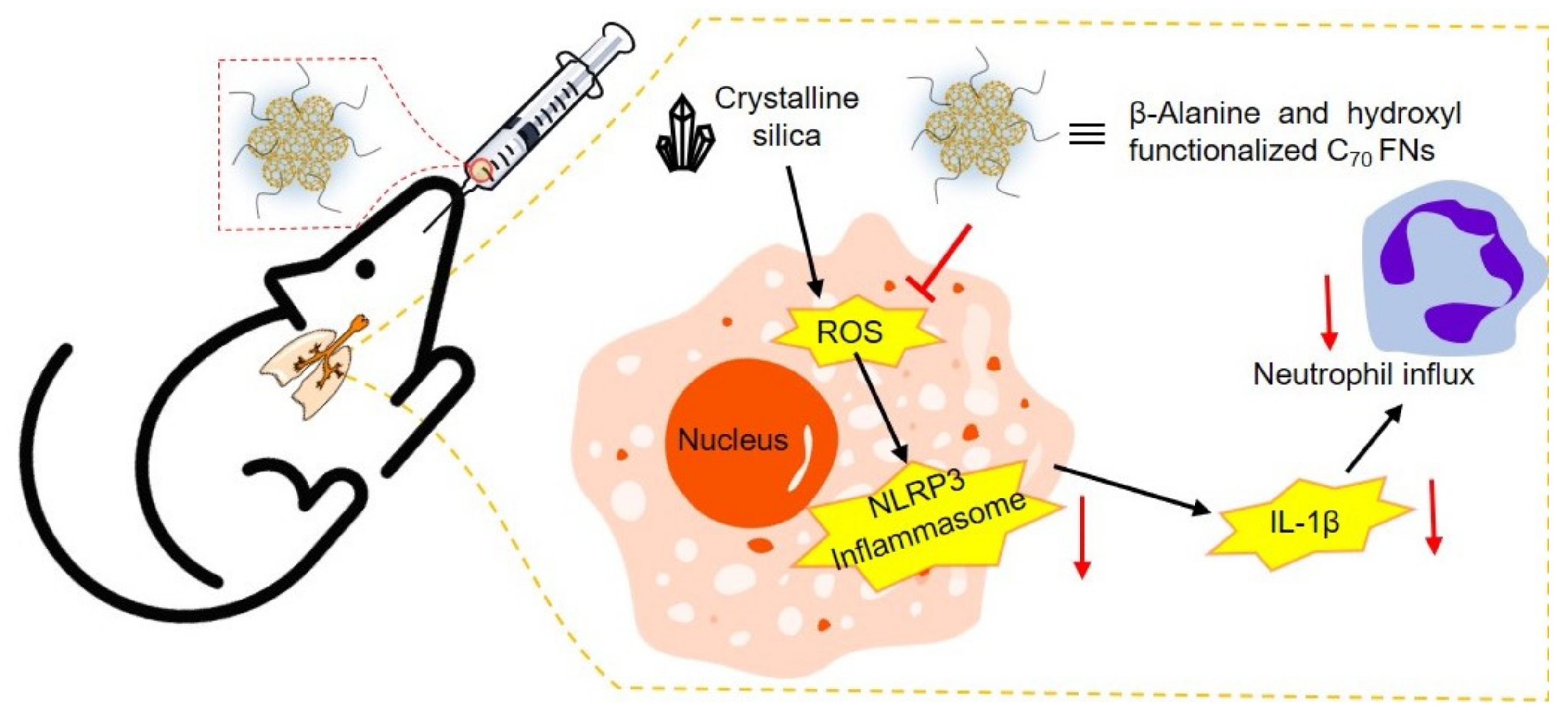 Materials 15 05404 g018 Materials 15 05404 g018