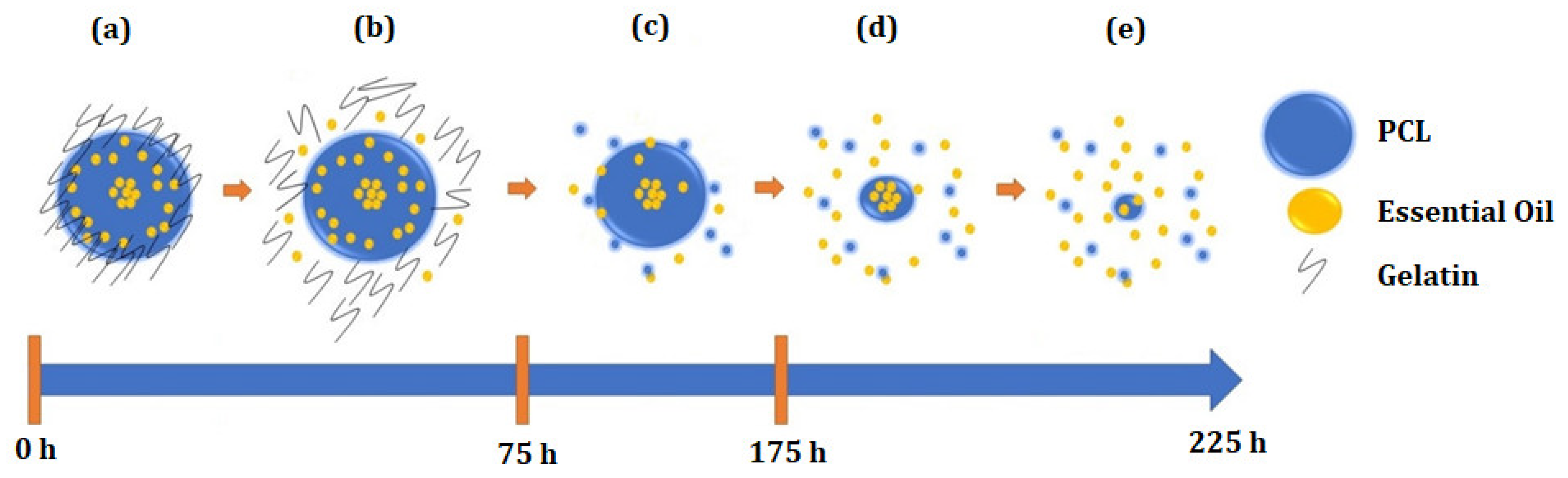 Materials 15 05415 g010