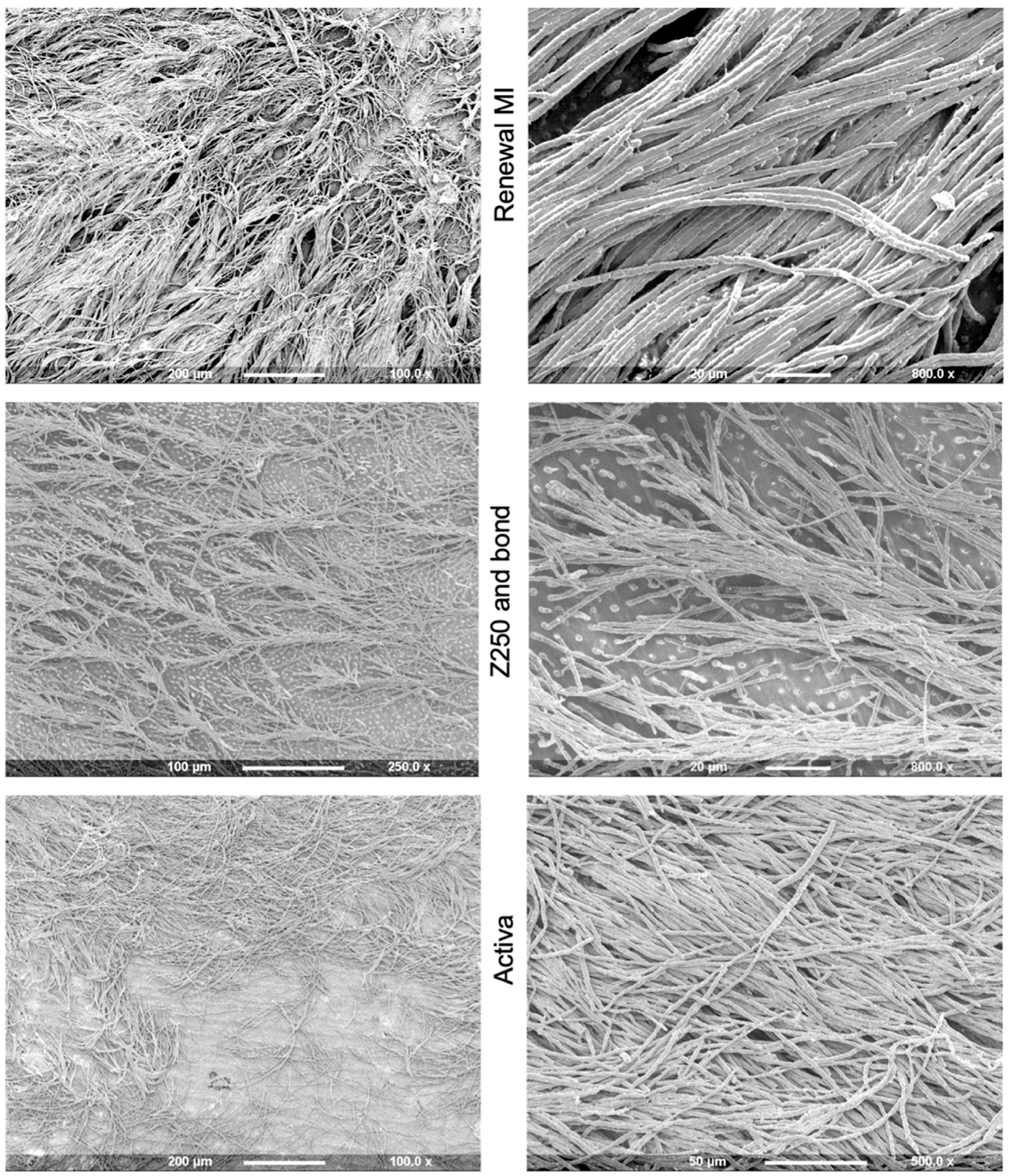 Materials 15 05438 g003