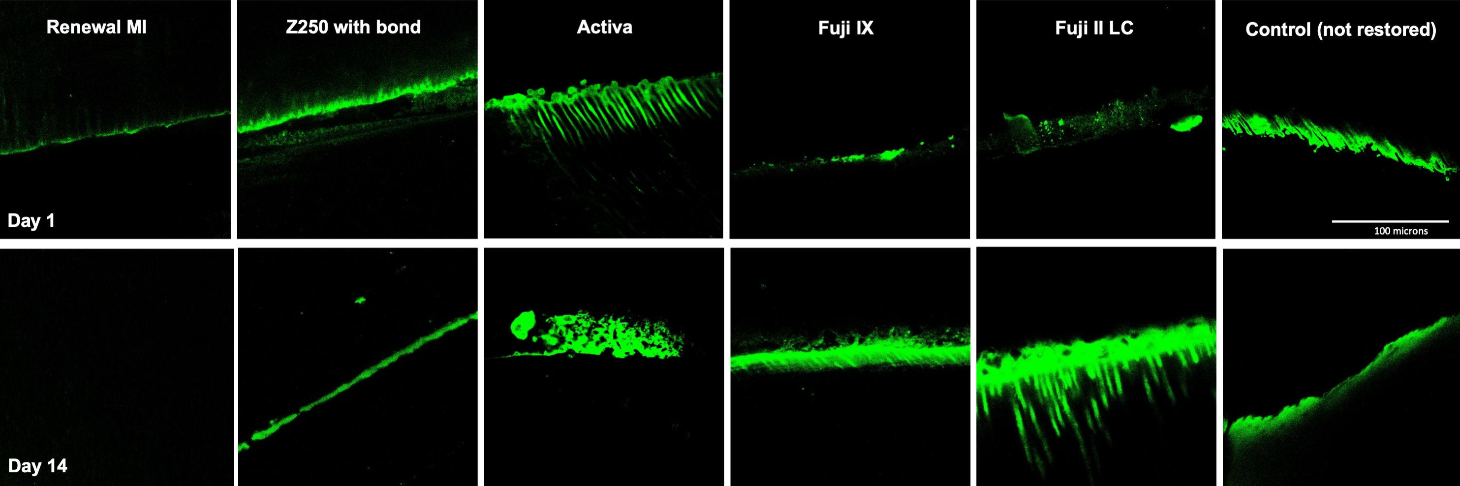 Materials 15 05438 g006