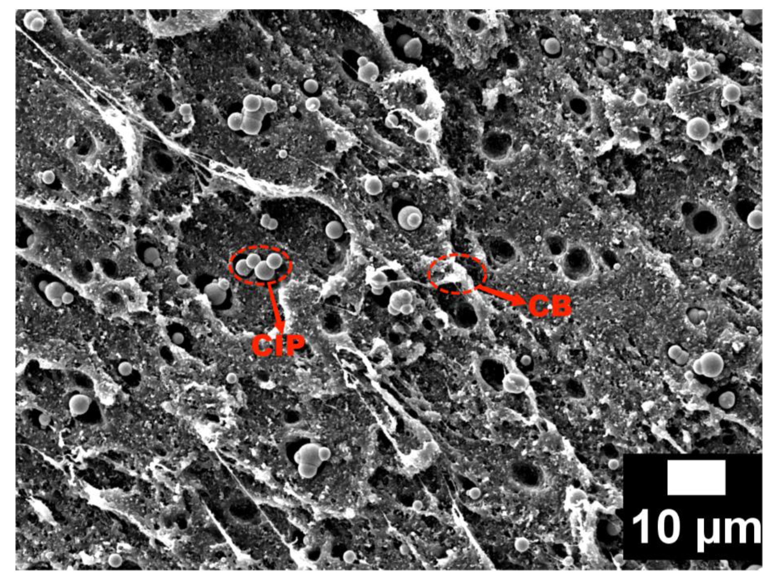 Materials 15 05455 g008