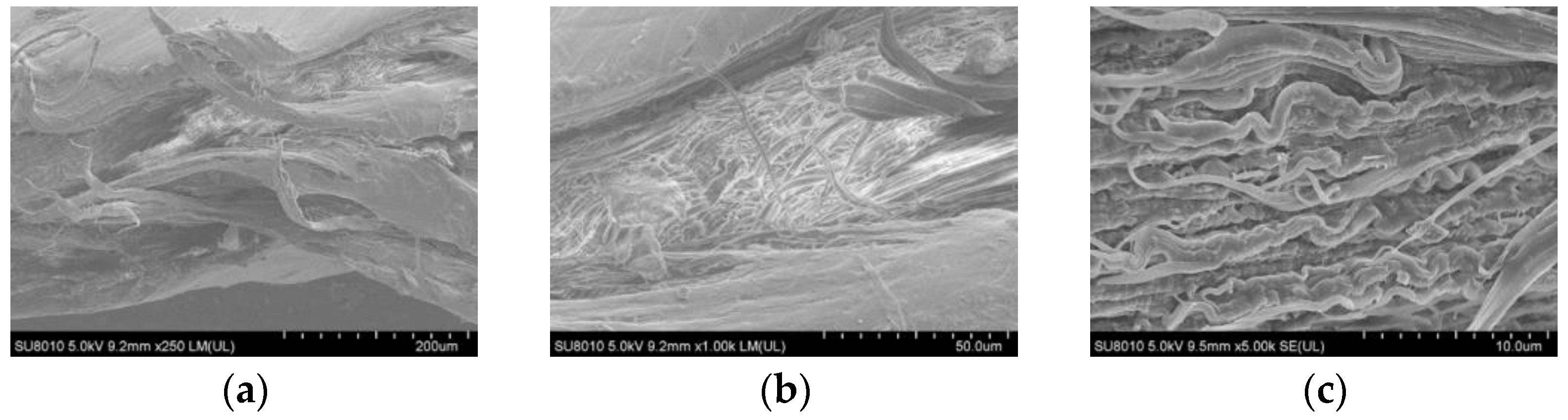 Materials 15 05456 g007 550