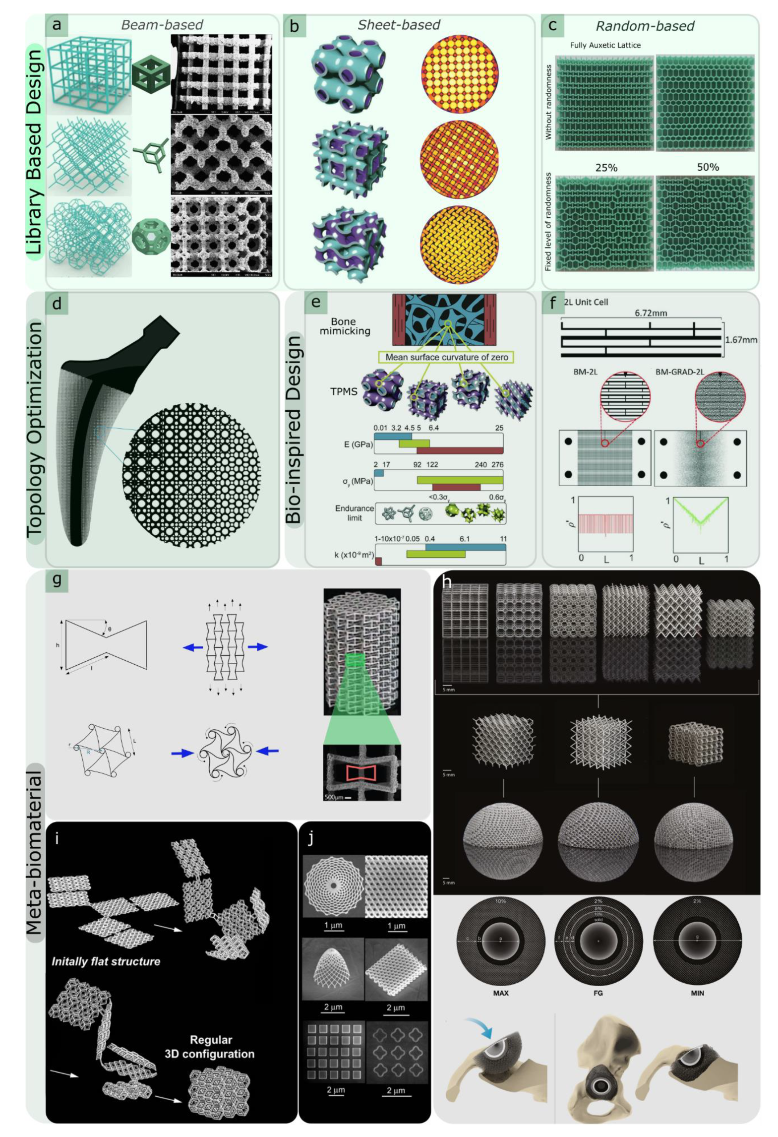 A versatile microfluidic device for multiple ex vivo/in vitro tissue assays  unrestrained from tissue topography