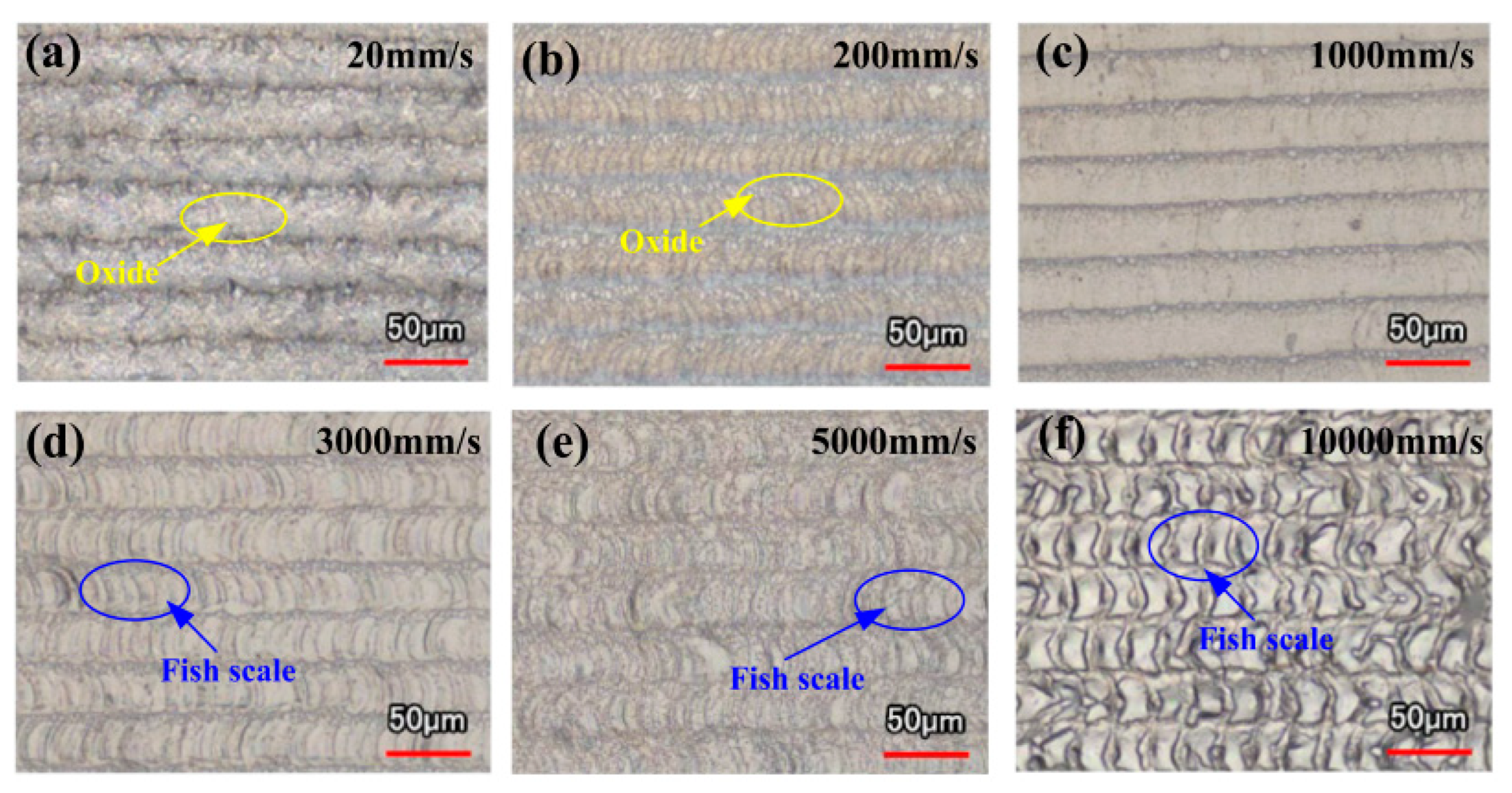 Materials 15 05469 g006 550