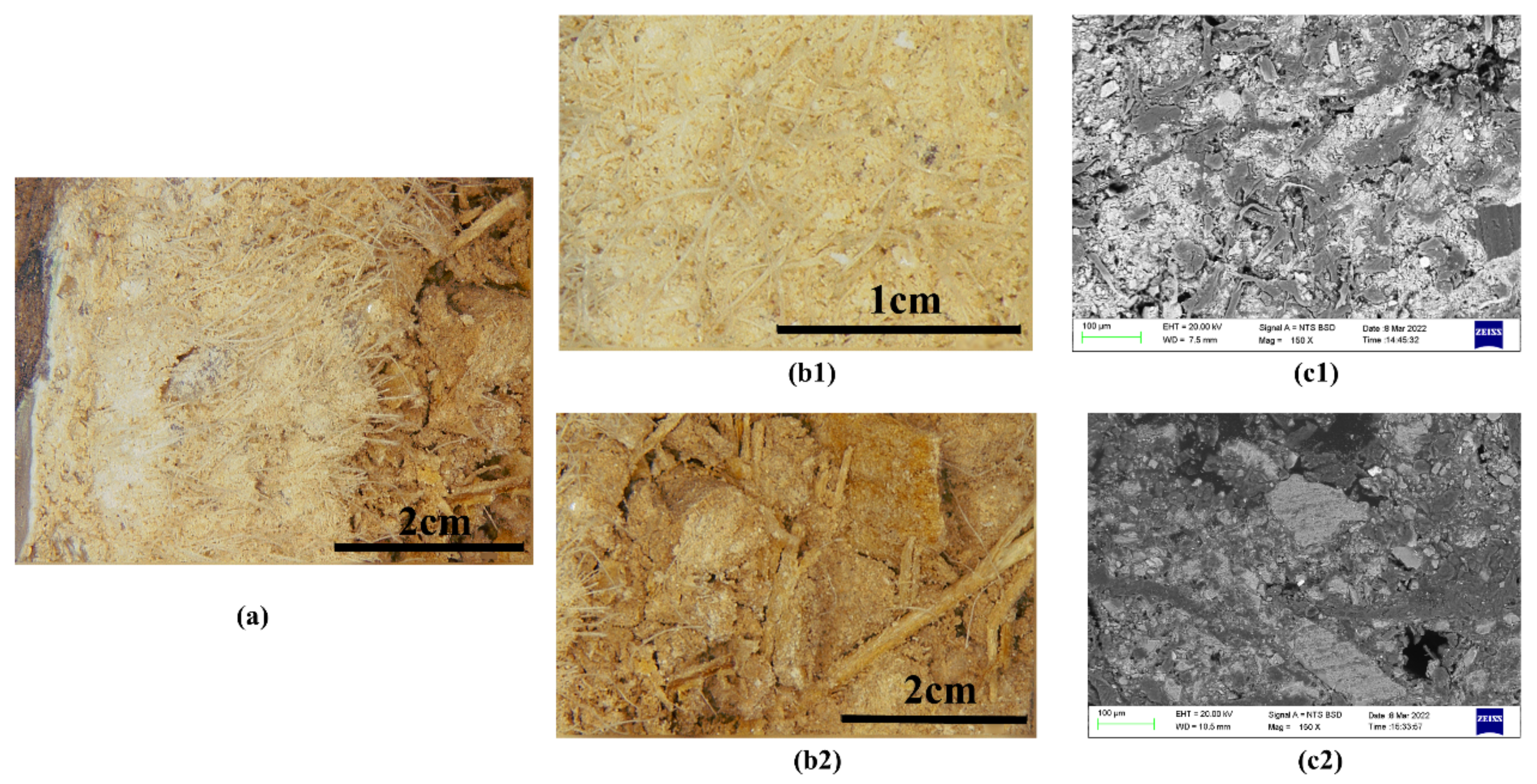 Materials 15 05470 g004