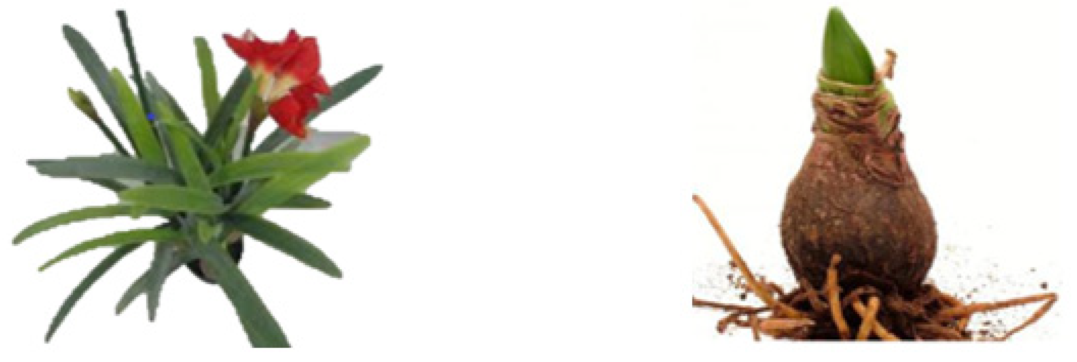 Materials 15 05478 g001