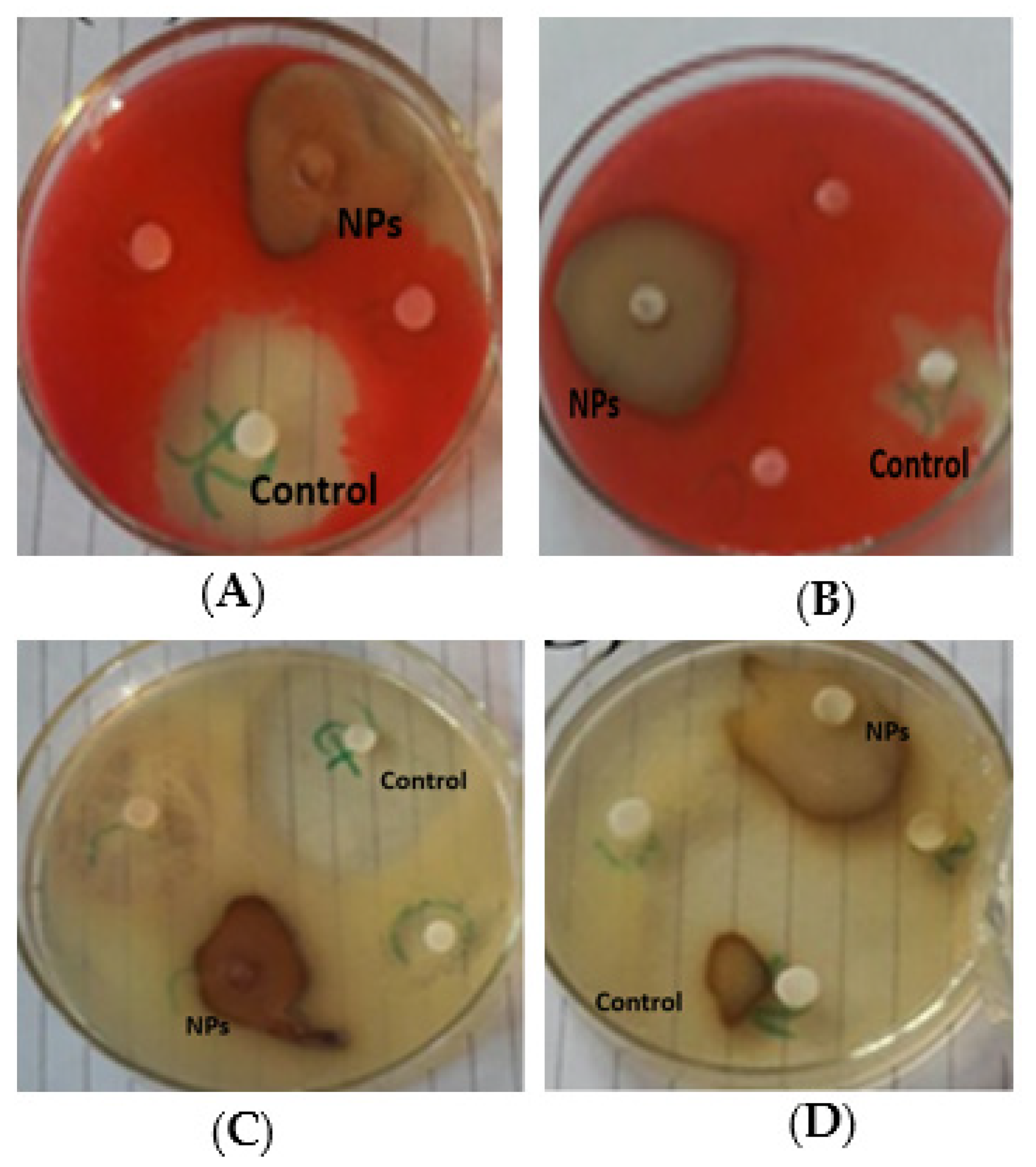 Materials 15 05478 g008