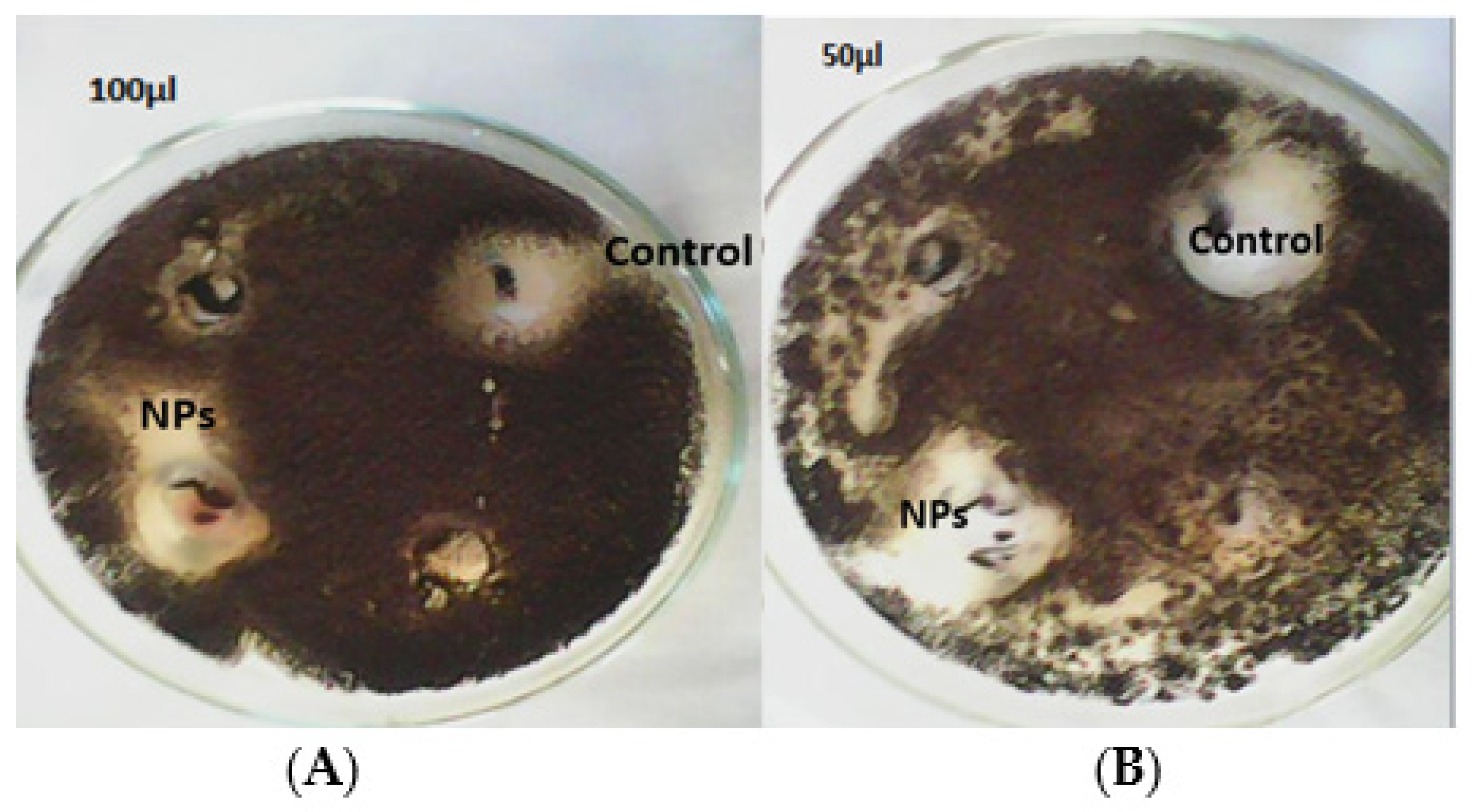 Materials 15 05478 g009