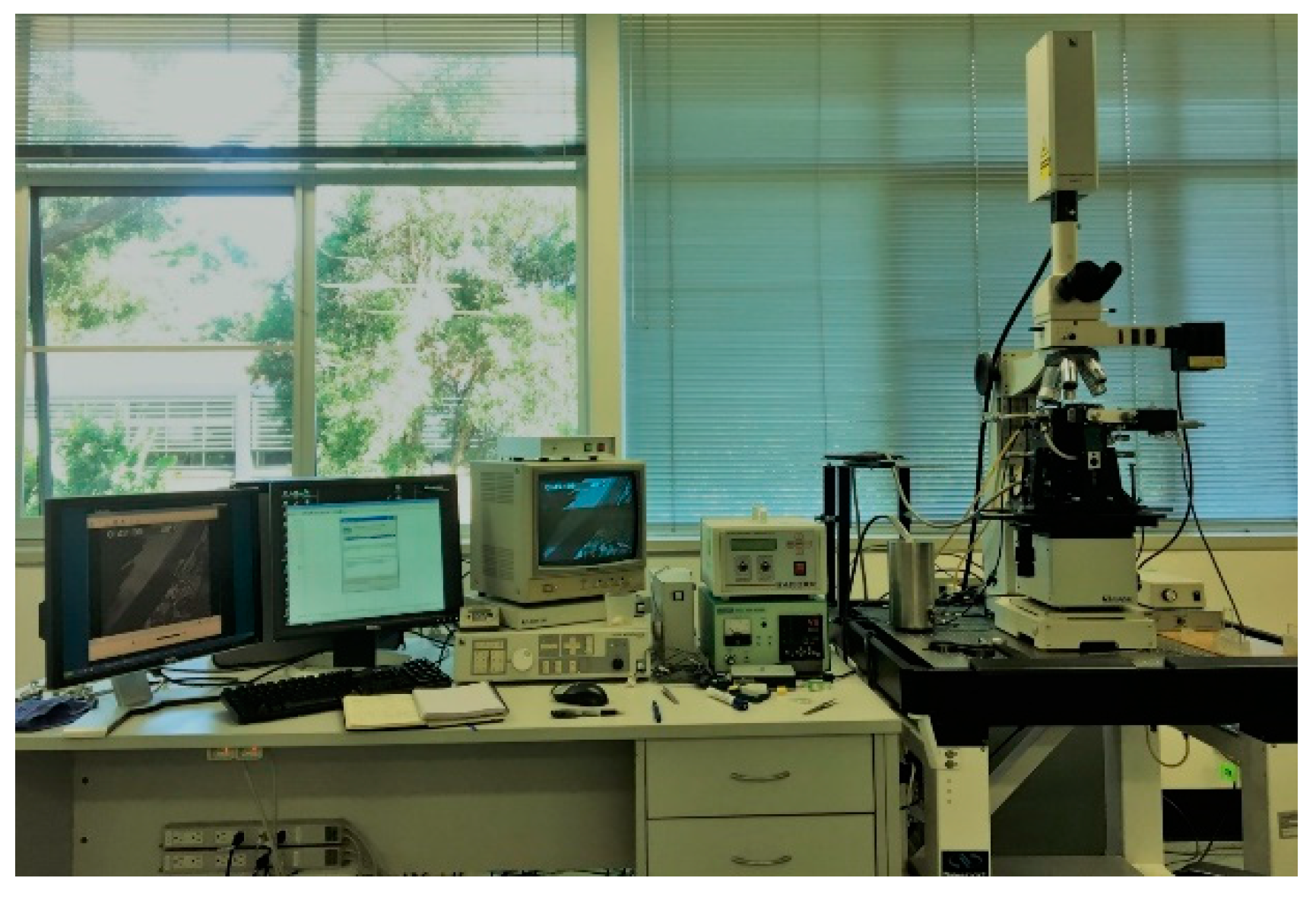 Materials 15 05517 g001 550