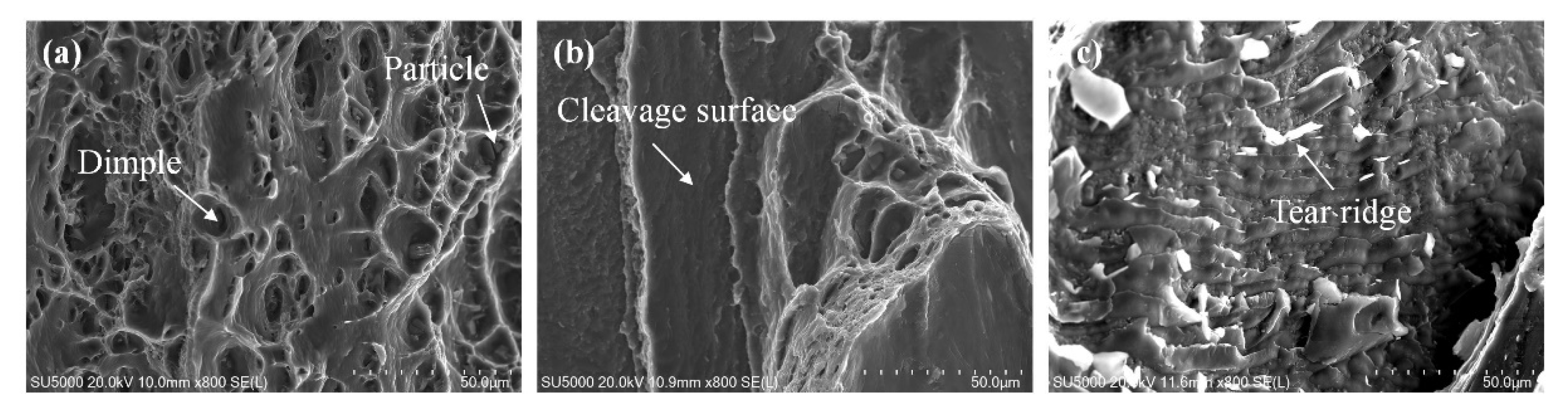 Materials 15 05520 g015
