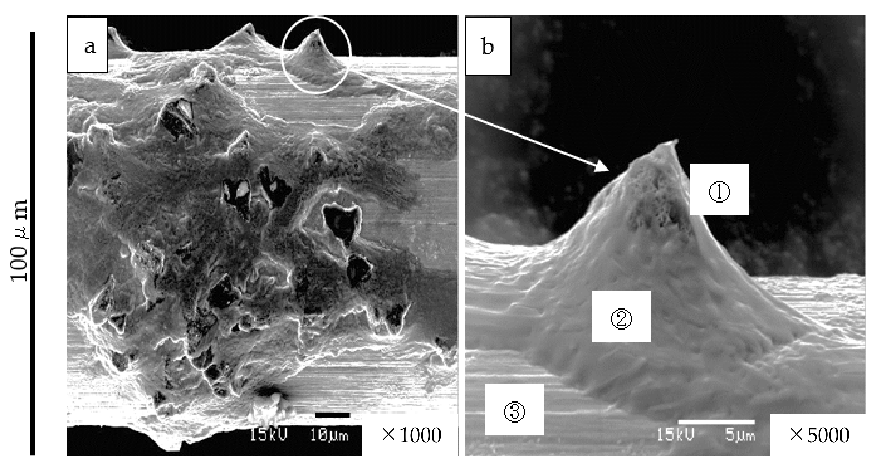 Materials 15 05524 g003 Materials 15 05524 g003
