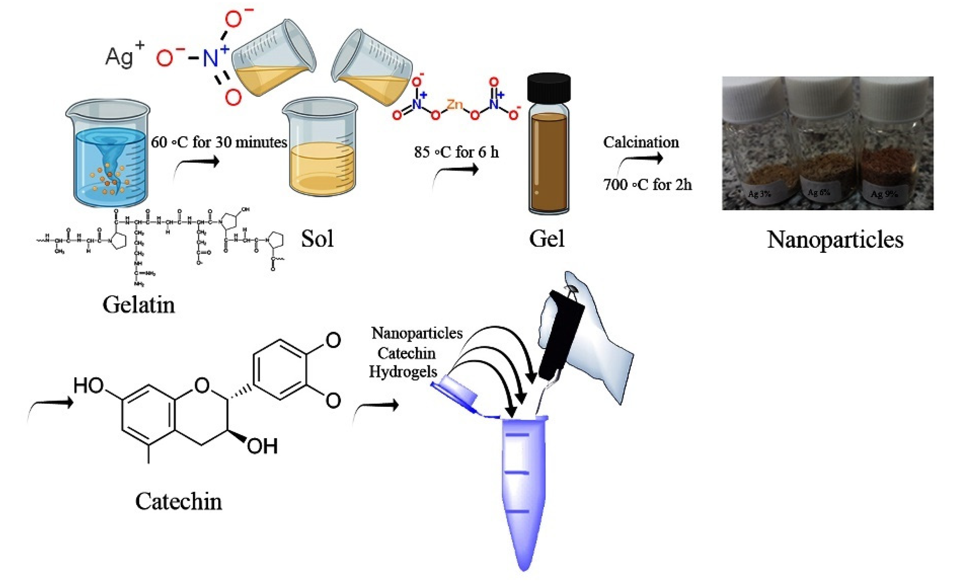 Materials 15 05536 g001 550