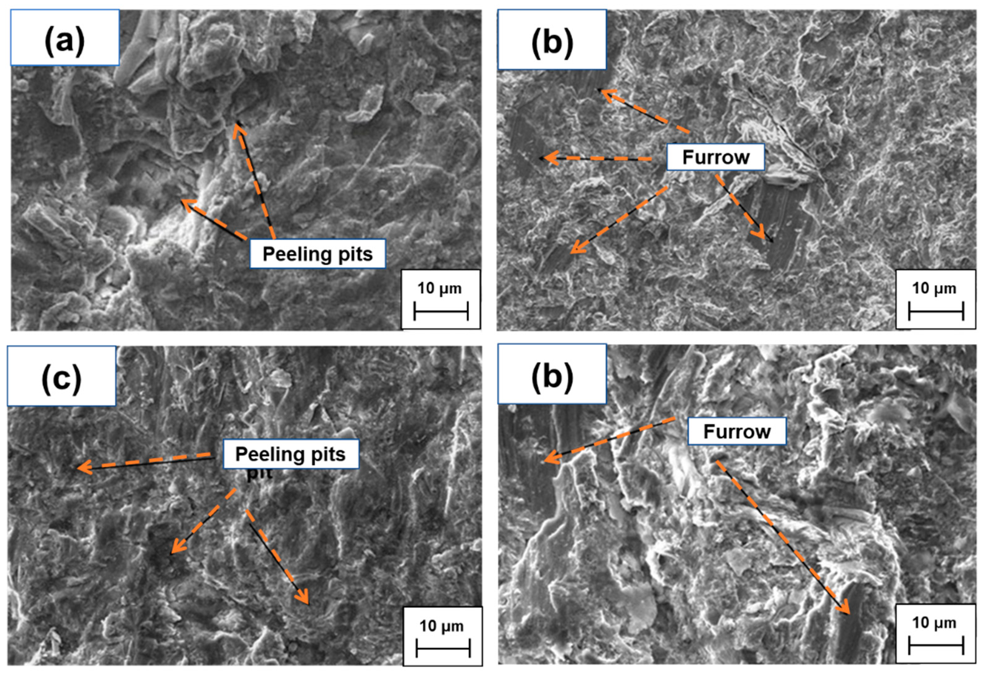 Materials 15 05554 g005 550