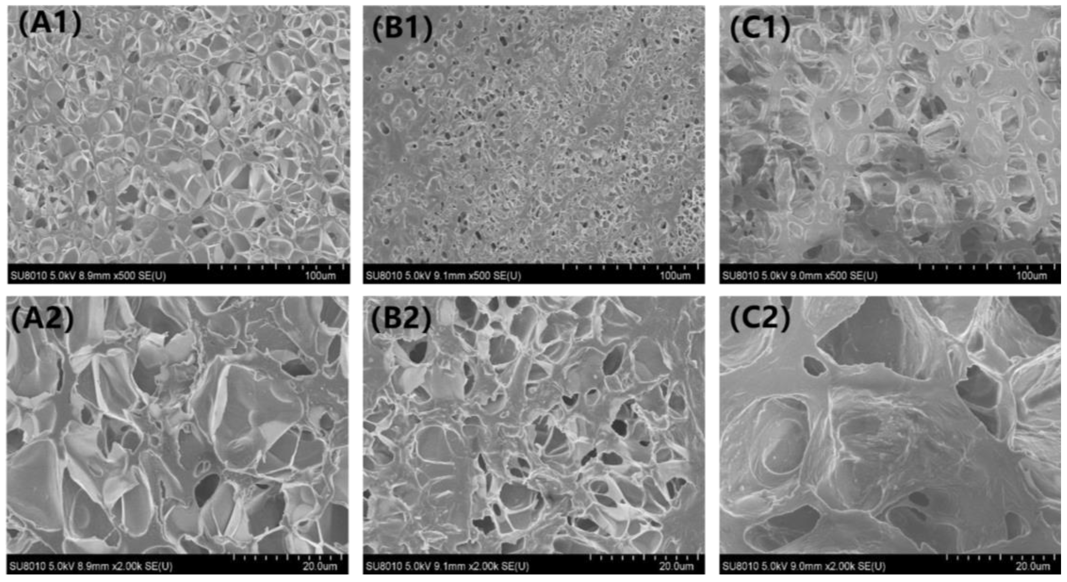 Materials 15 05555 g004