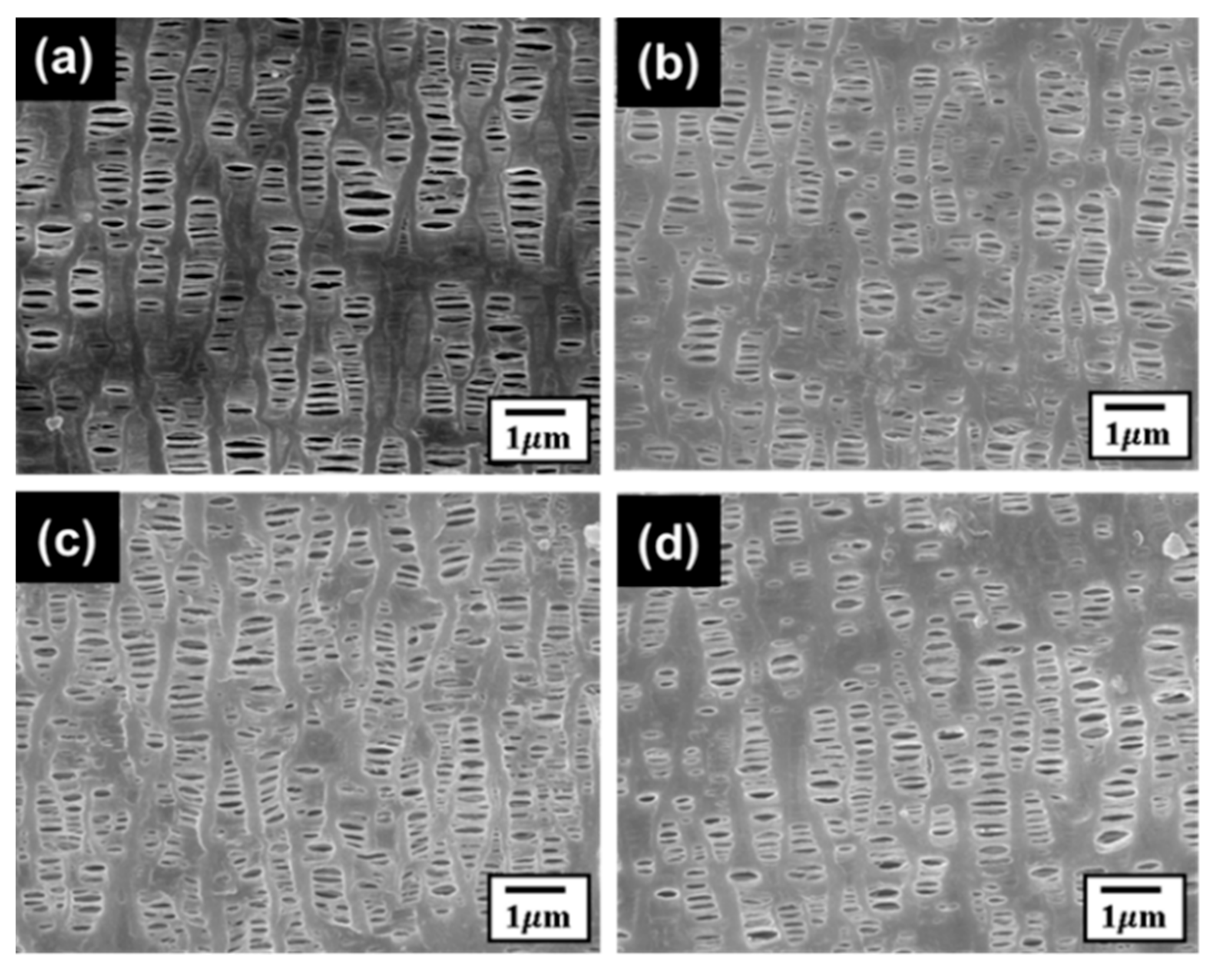 Materials 15 05557 g009