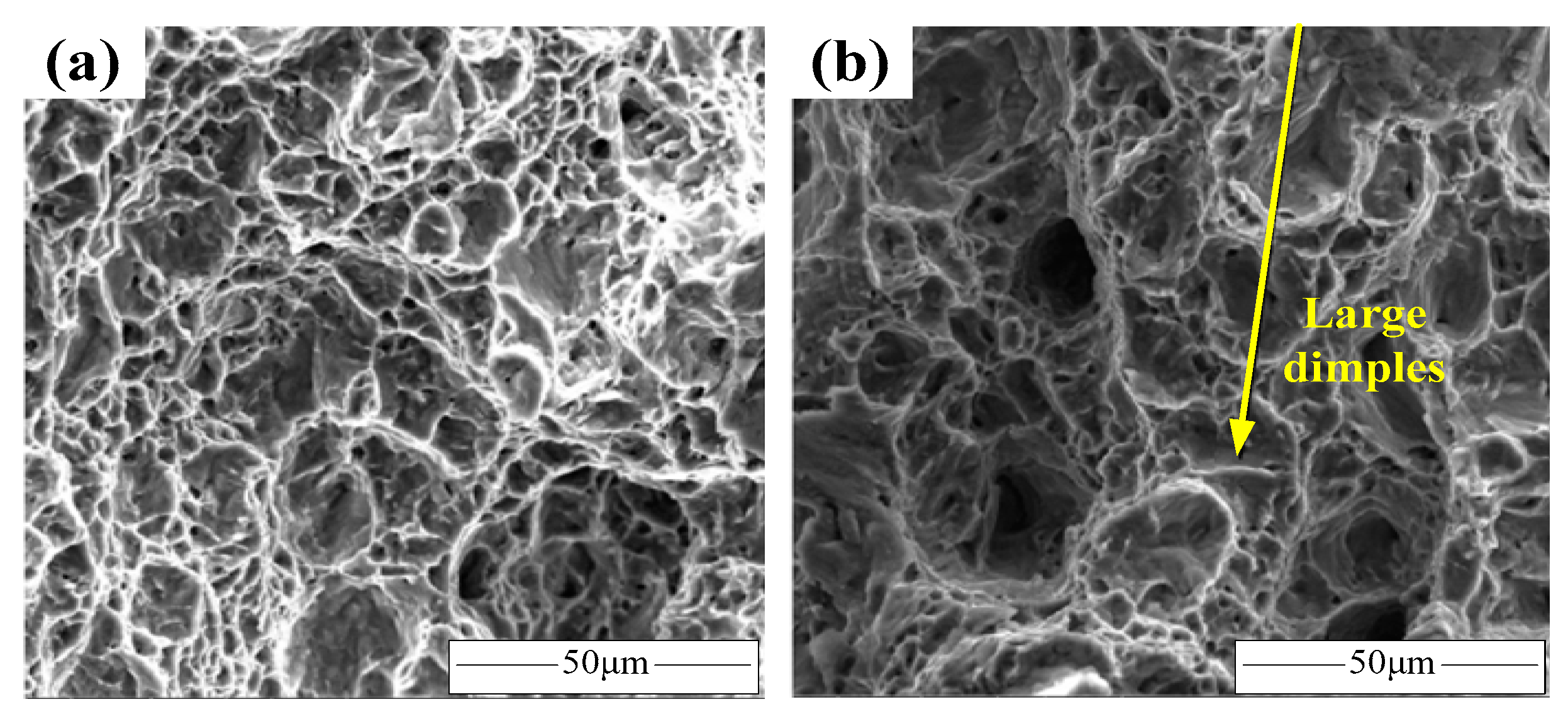 Materials 15 05586 g009 550