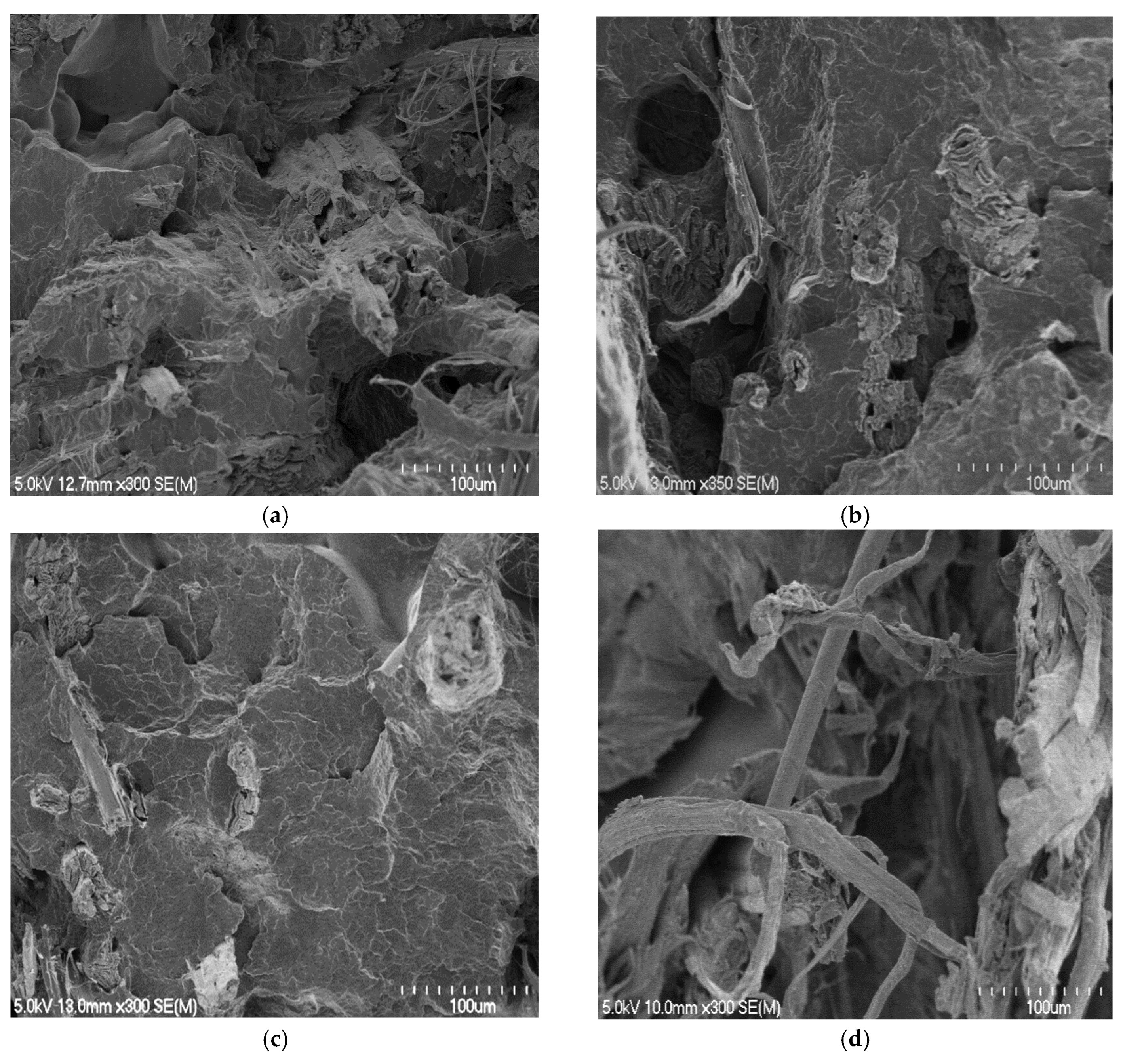 Materials 15 05587 g007 550