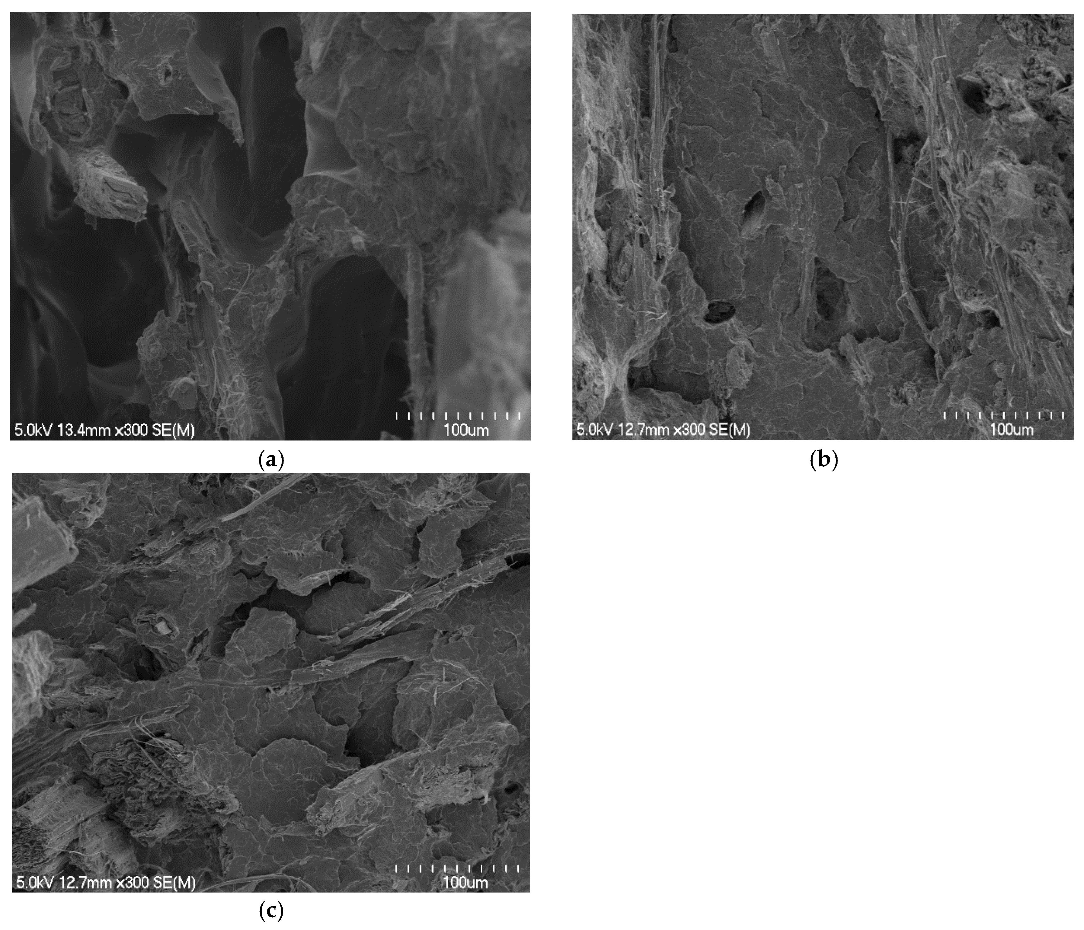 Materials 15 05587 g008 550