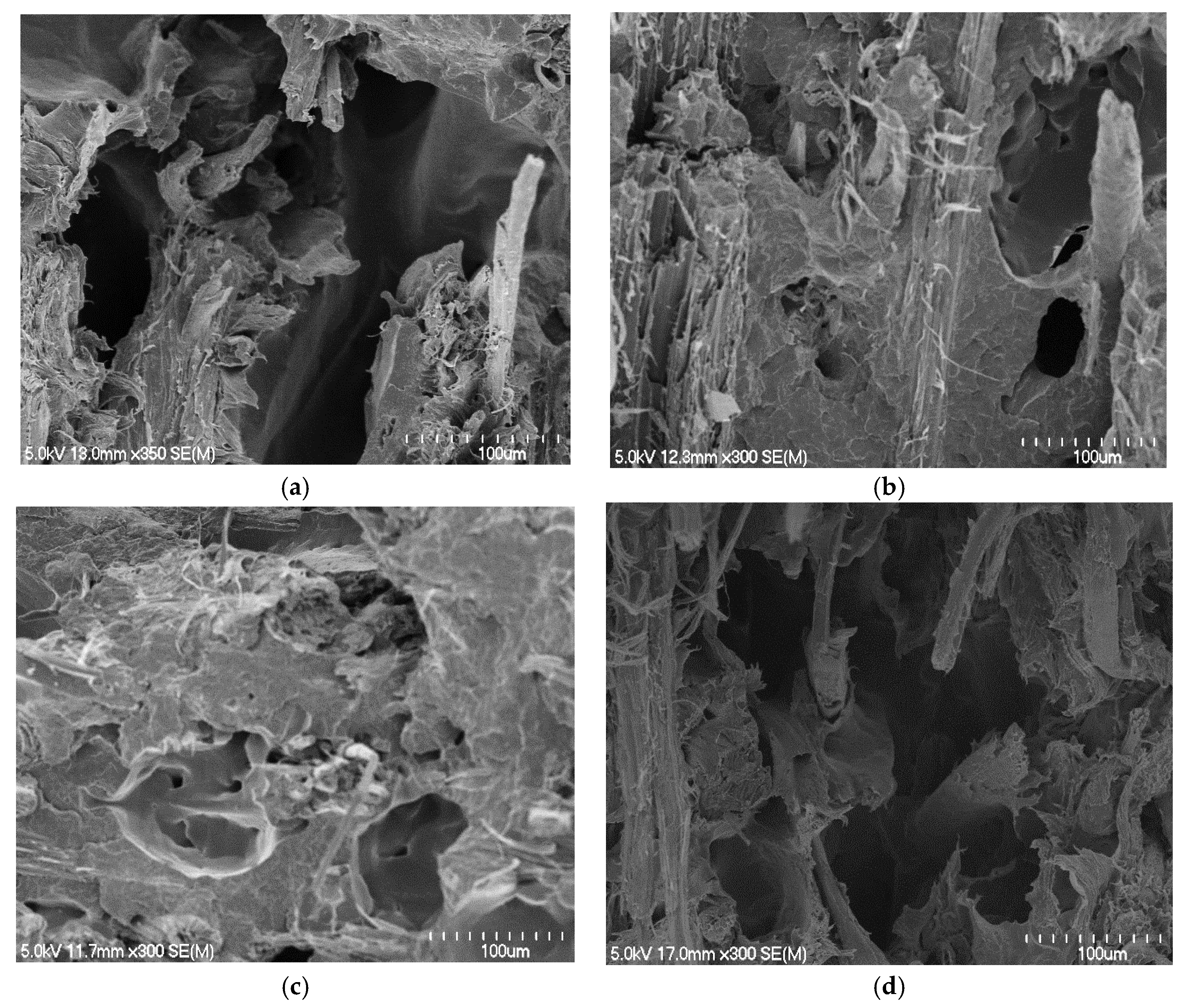 Materials 15 05587 g009 550