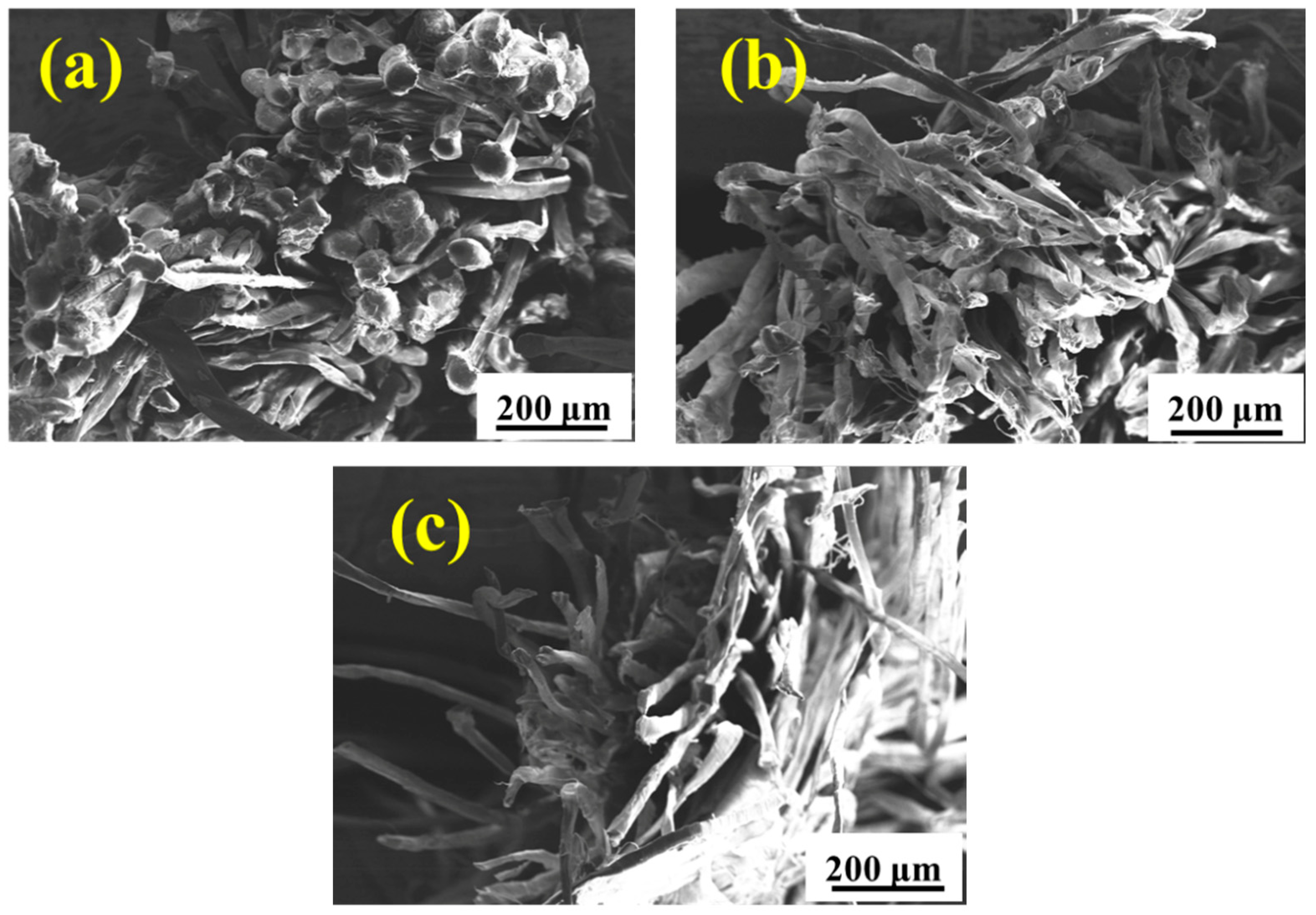 Materials 15 05599 g011