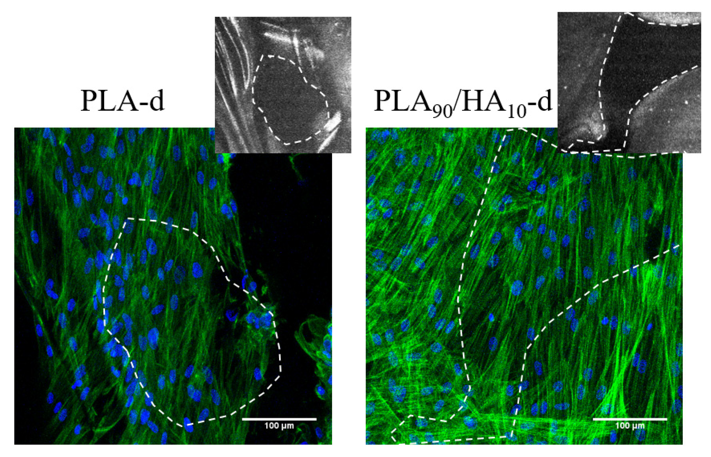 Materials 15 05615 g008