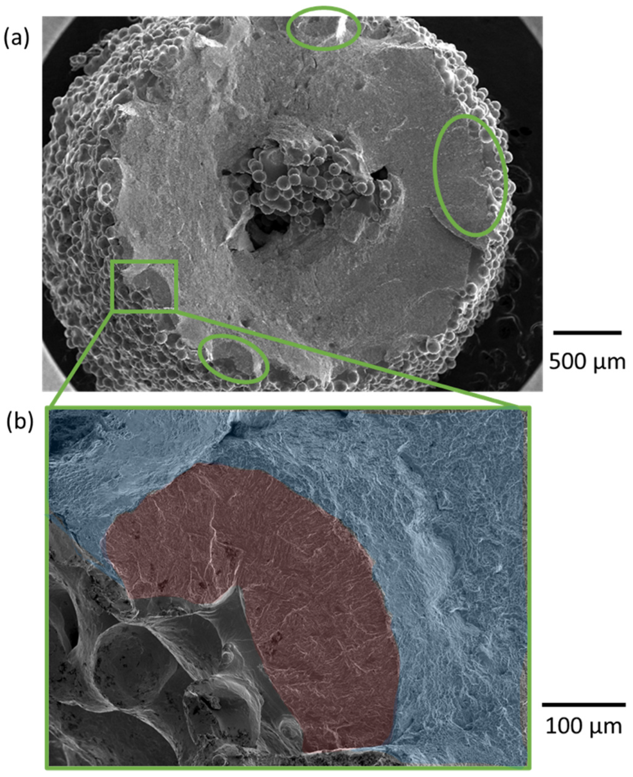Materials 15 05617 g010 550