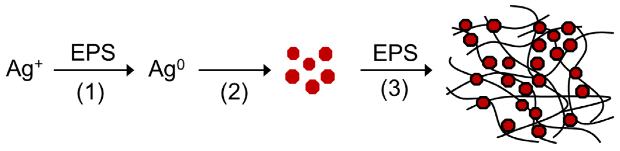 Materials 15 05620 g004