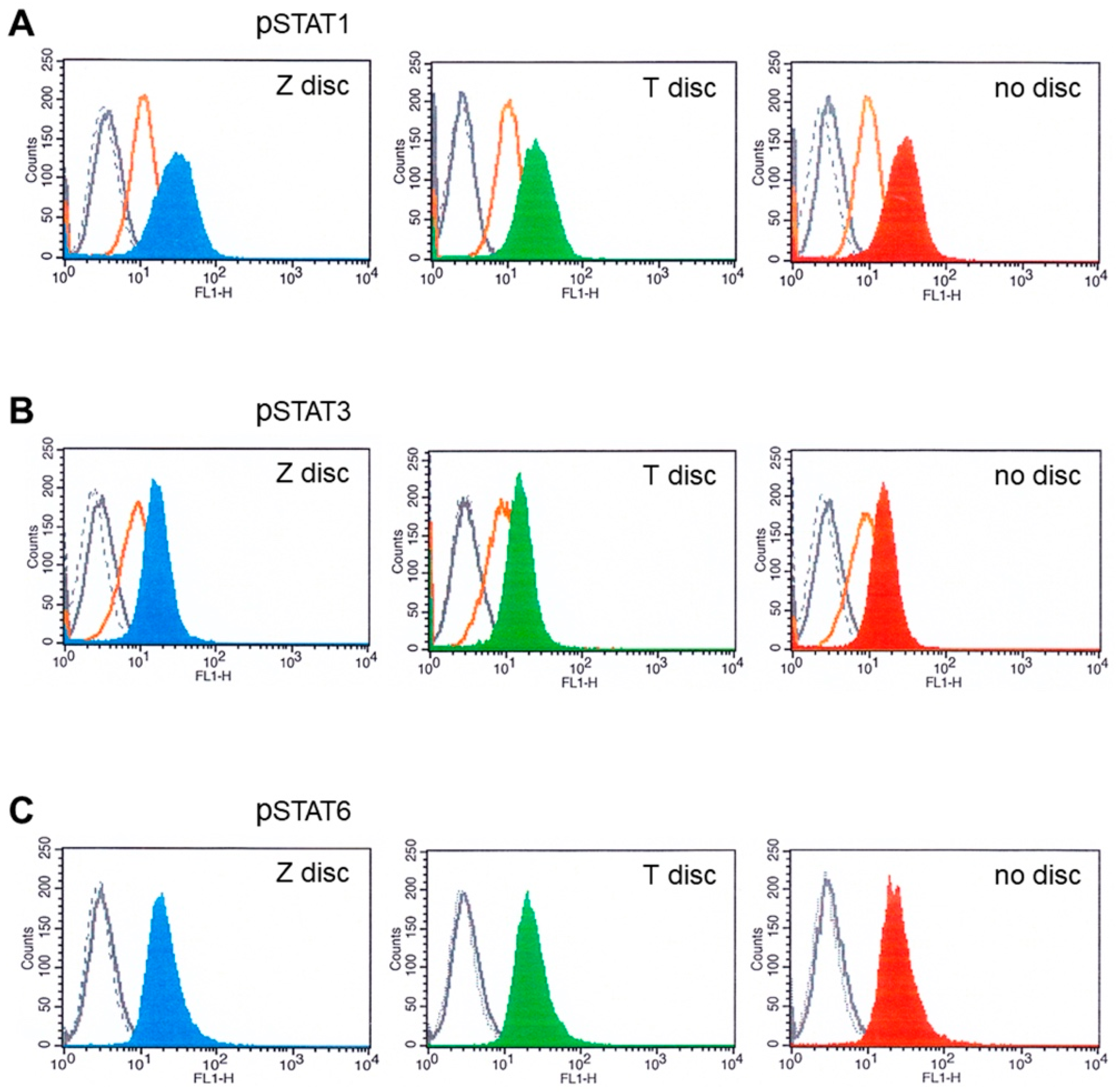 Cytokines Activate JAK–STAT Signaling Pathway in MG-63 Cells
