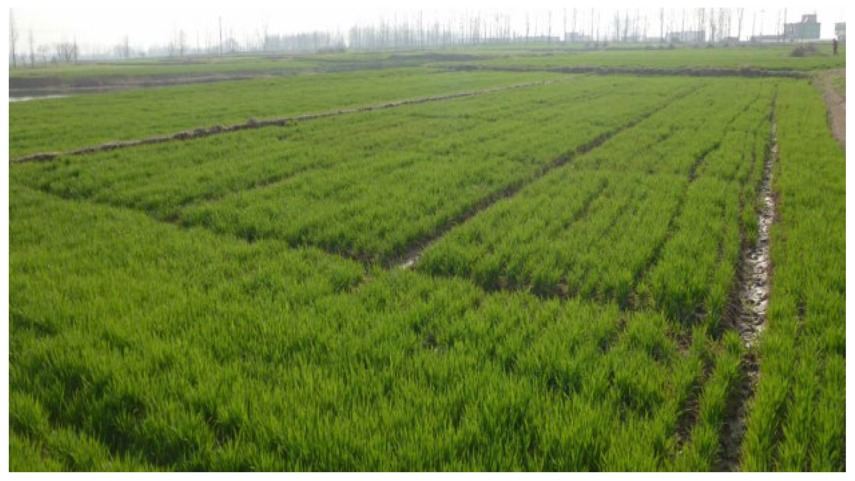 Materials 15 05668 g001