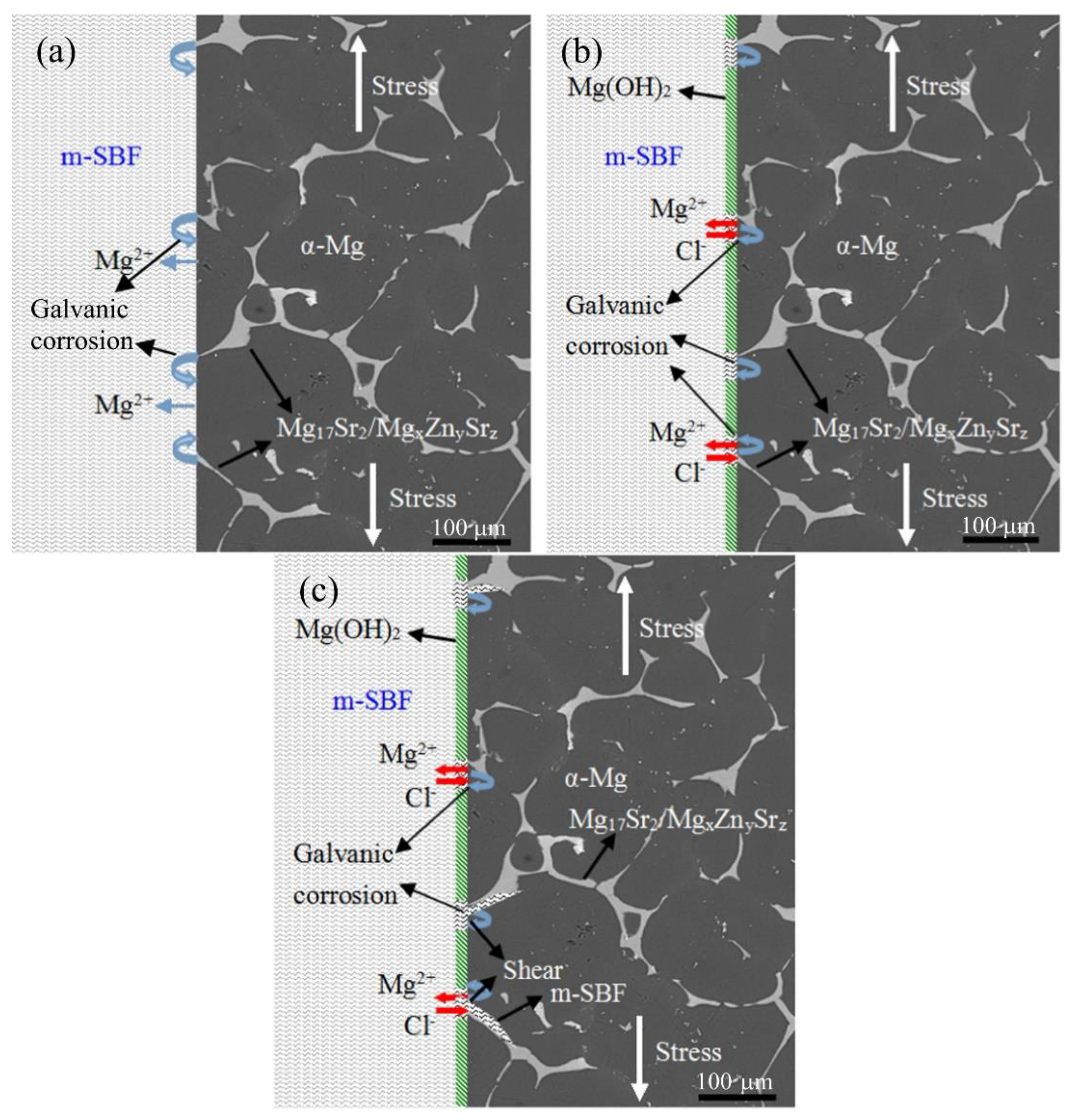 Materials 15 05669 g004