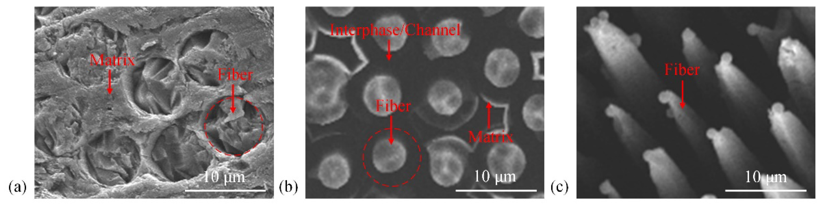 Materials 15 05695 g002 550