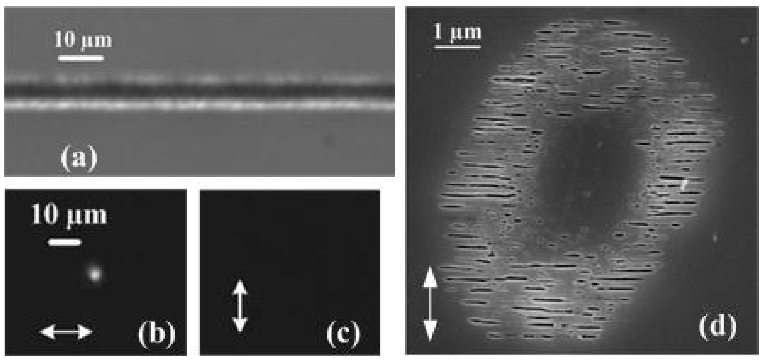 Materials 15 05698 g001