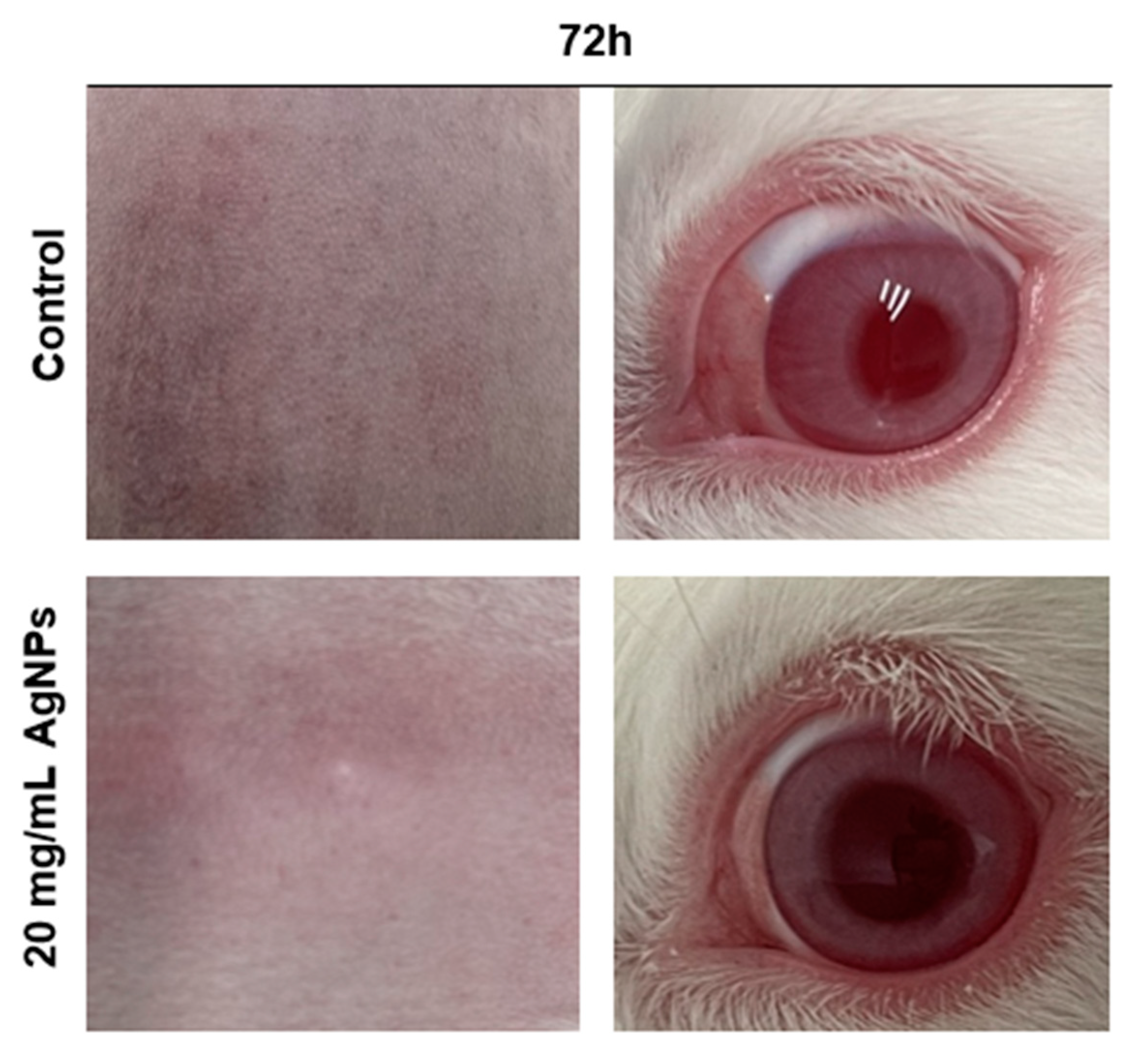 Materials 15 05700 g002 550