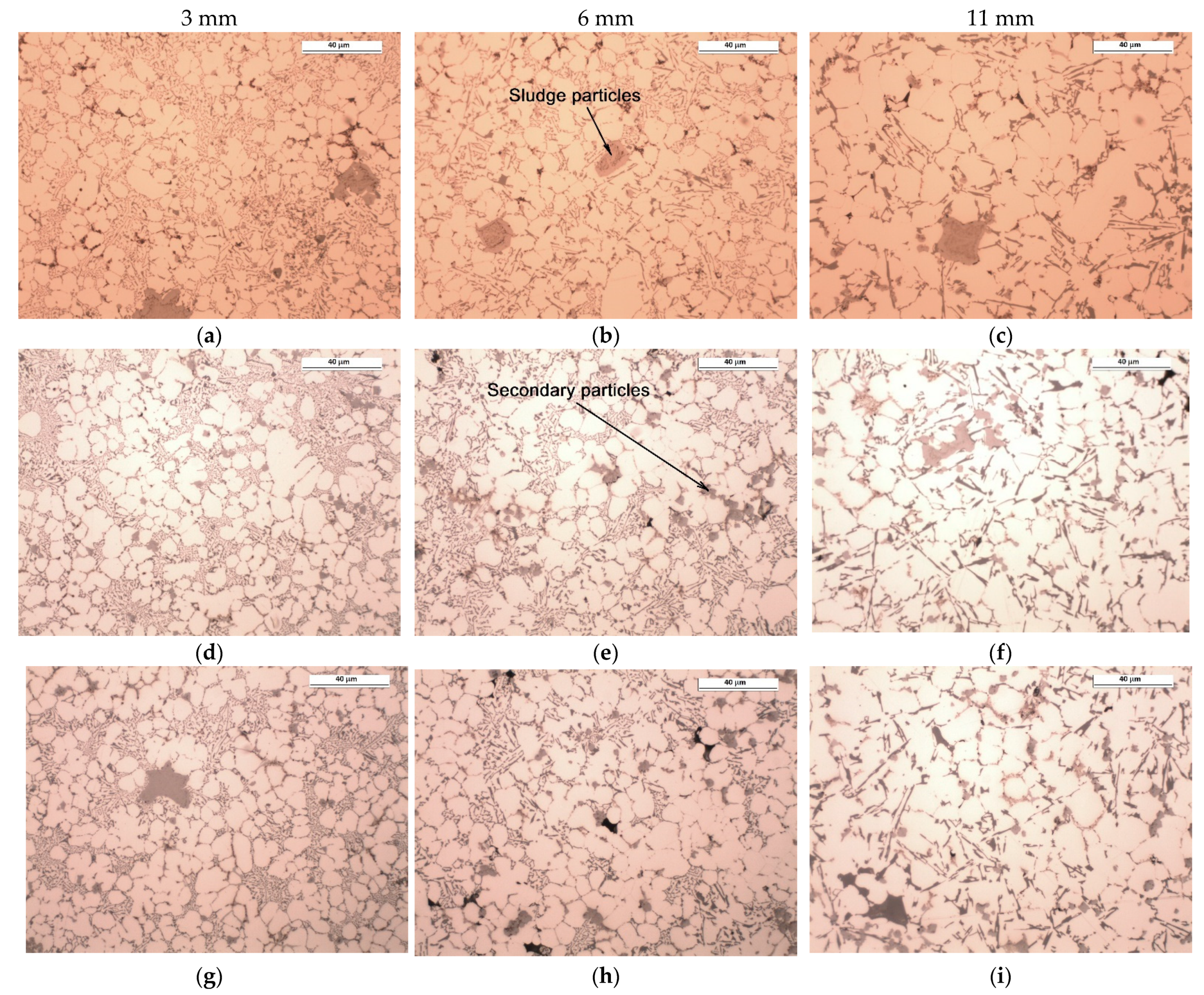 Materials 15 05702 g009 550